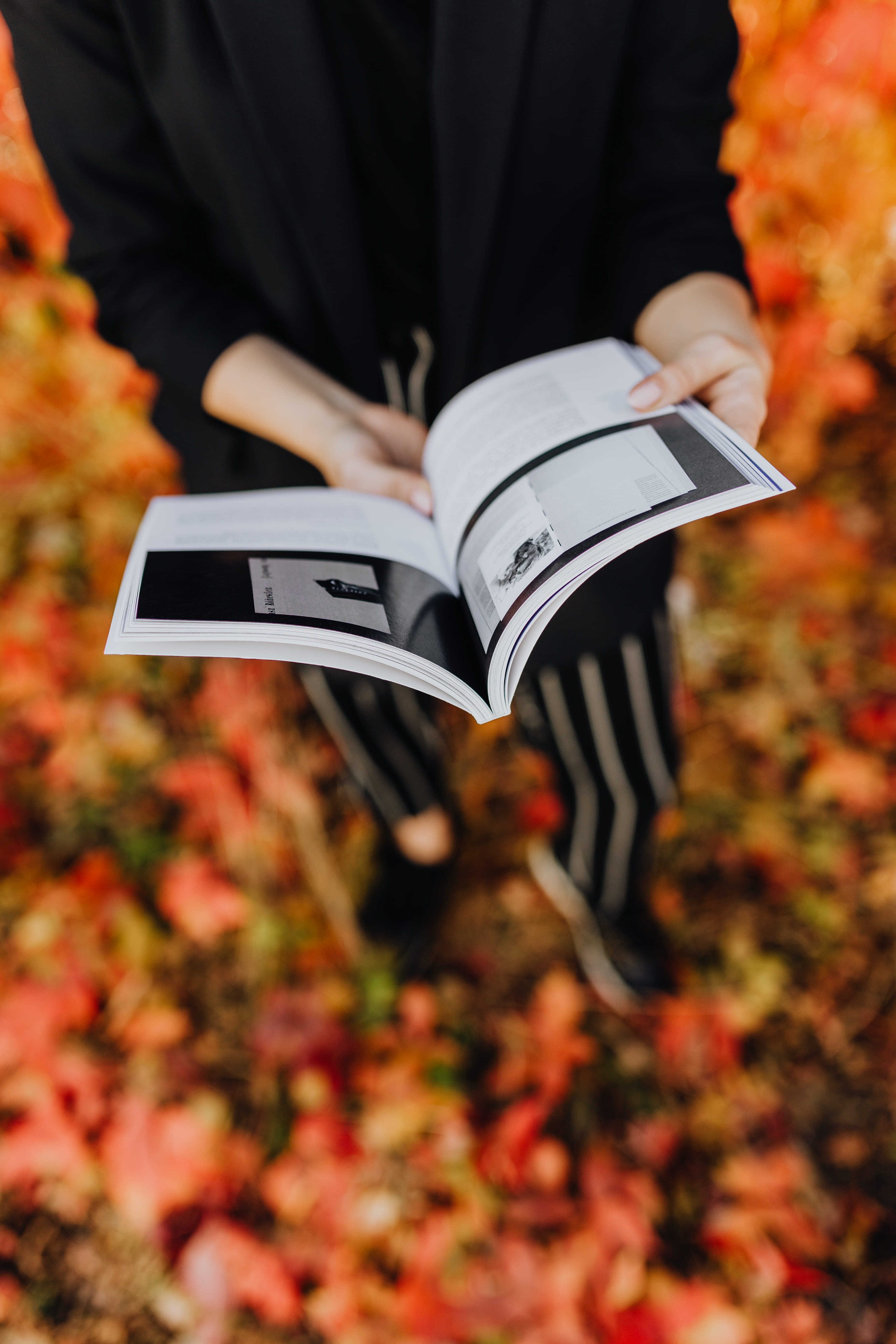 web designer, fall, girl, change, hand, study, one person, knowledge, conference, midsection, reader, men, focus on foreground, activity, autumn, torun, Phone HD Wallpaper
