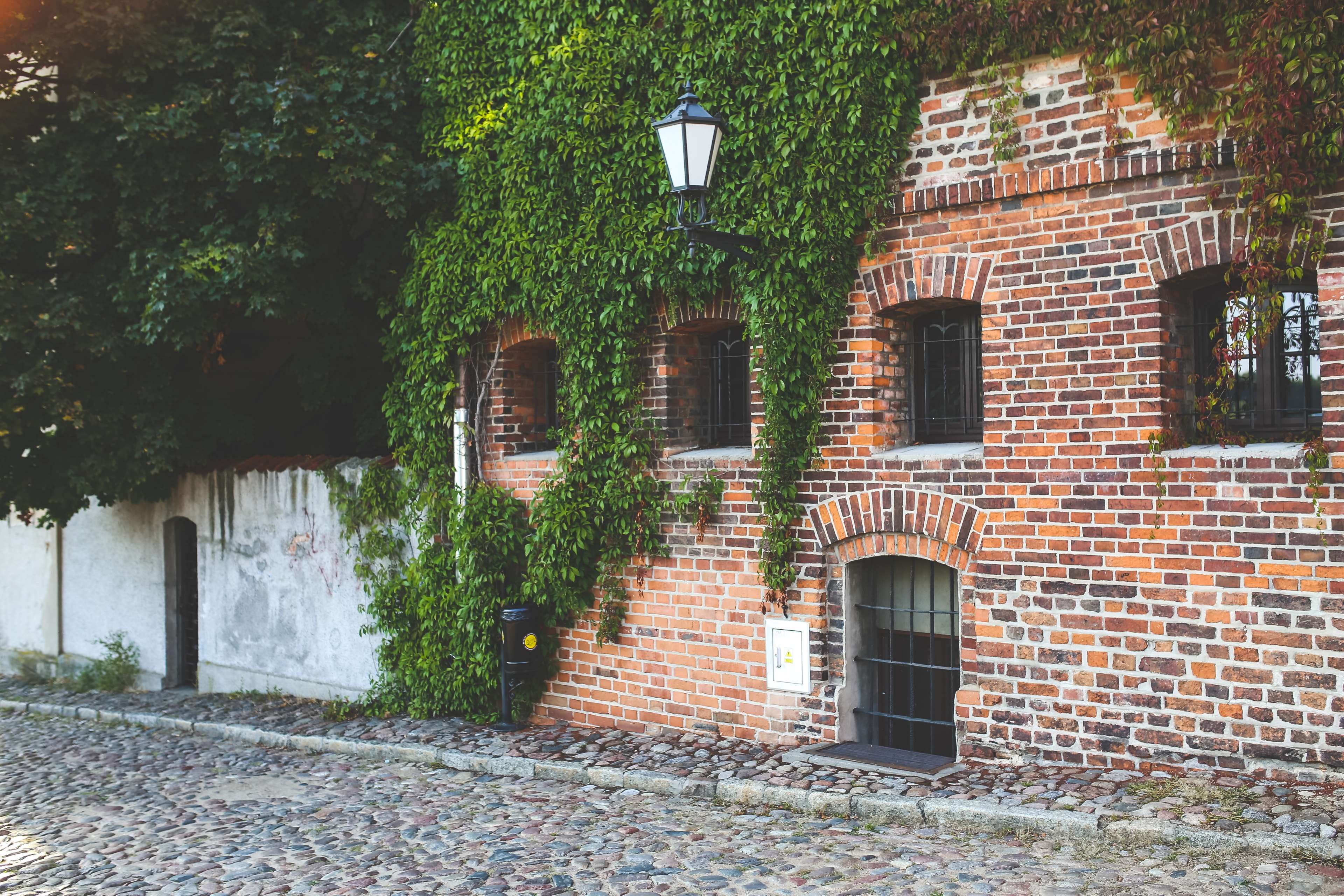 door, exterior, window, town, growth, no people, outdoors, architecture, street, poland, 4K, wood, family, travel, home, city, day, built structure, residential district, HD Wallpaper
