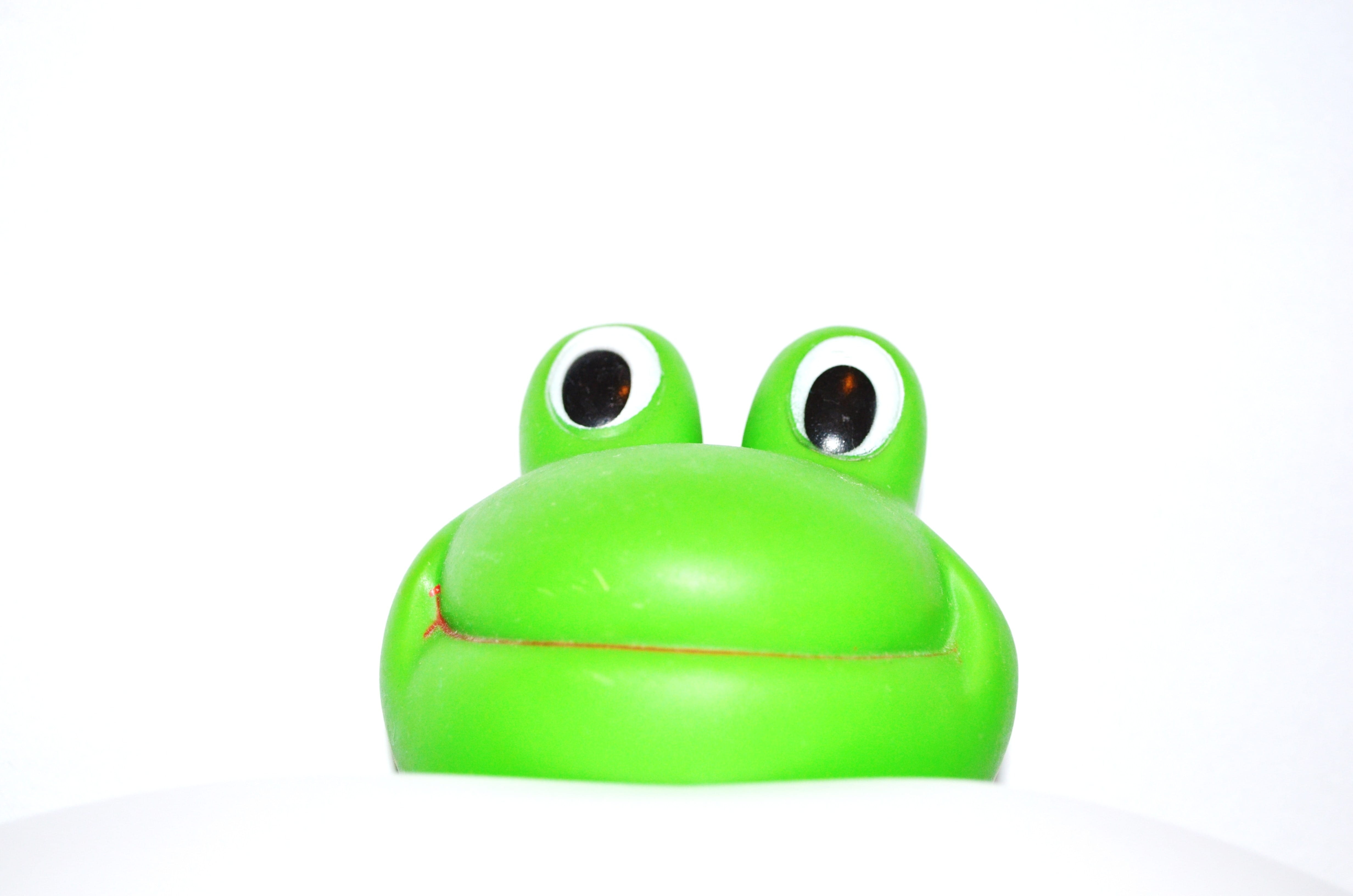 copy space, close-up, white background, happy, studio shot, environment, single object, Plastic, cut out, amphibian, green, representation, animal, background, HD Wallpaper