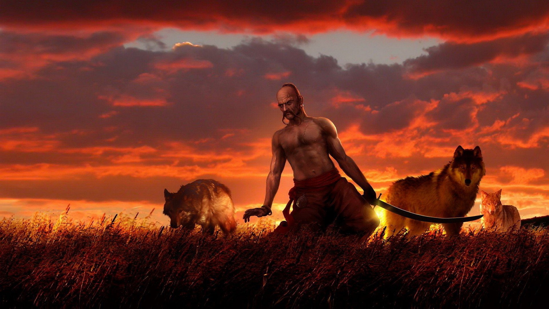 field, art, cossack, wolf, 1080P, tagme, saber, HD Wallpaper
