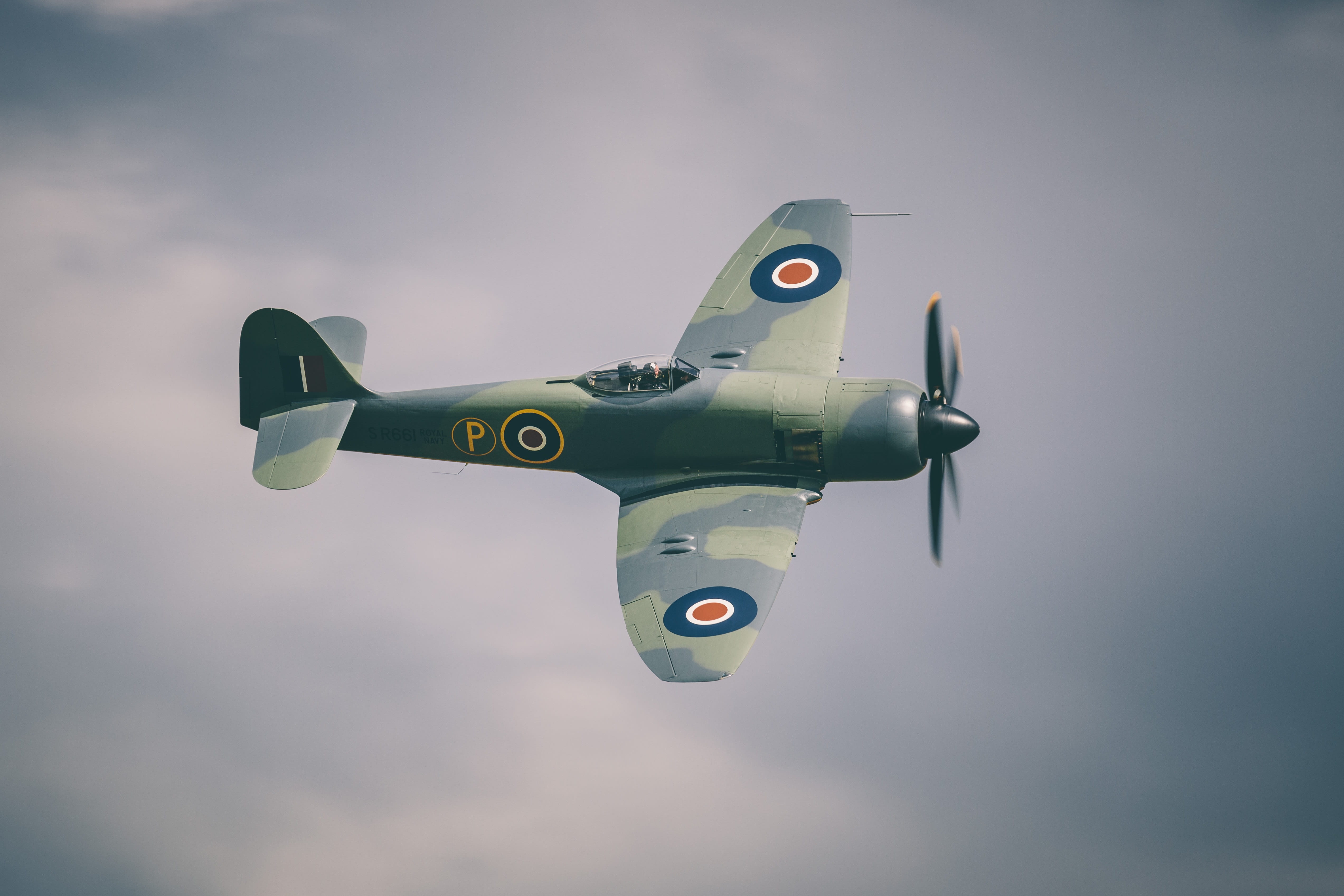 motion, nature, green, mid, gray, 4K, aviation, camouflage, government, fuselage, directly below, single object, flight, mid-air, air, fighter plane, on the move, HD Wallpaper