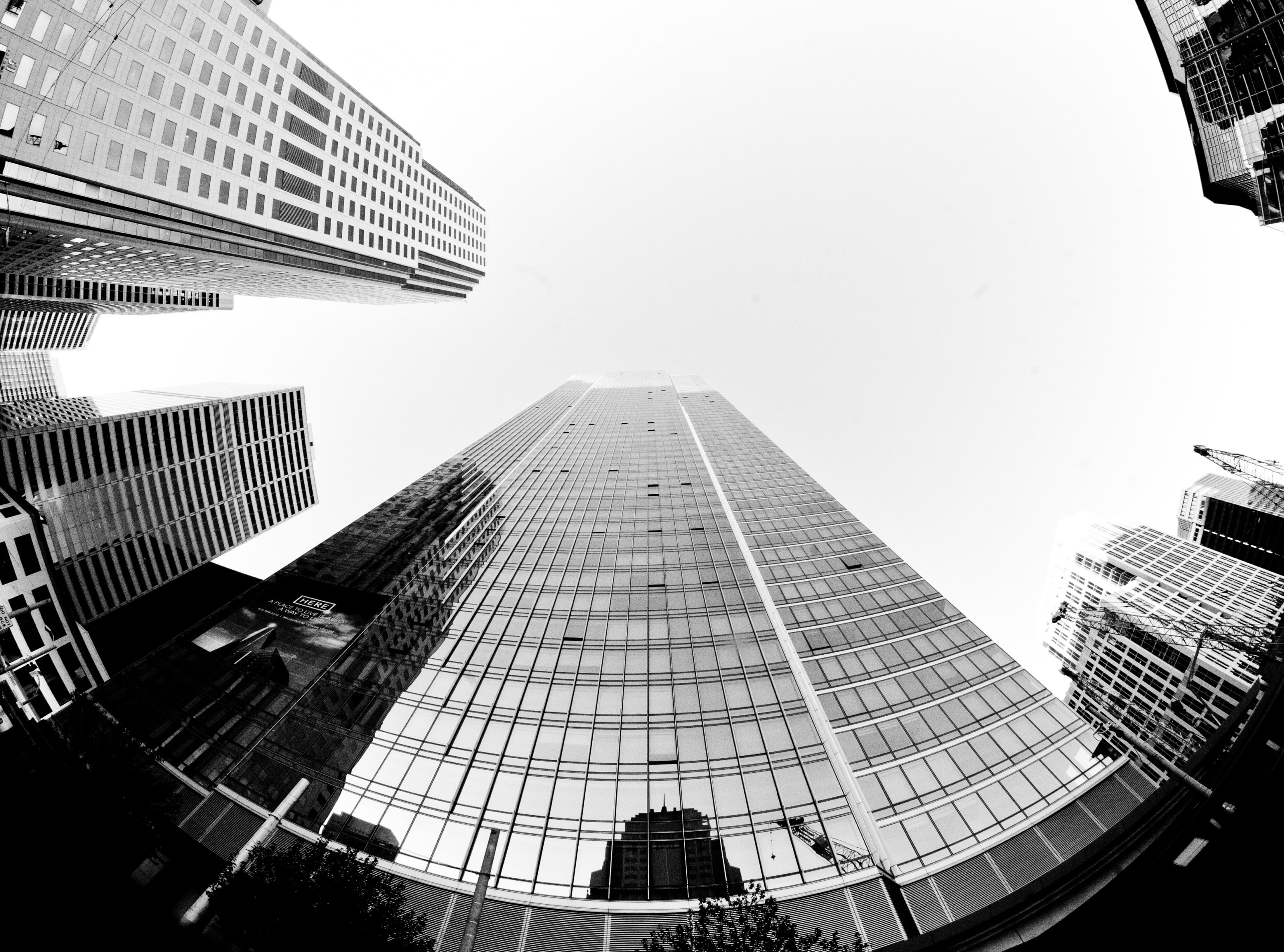 building, Black and White, usa, mistakes, rise, building exterior, skyscraper, high, glass - material, low angle view, sky, san francisco, biggest, outdoors, HD Wallpaper