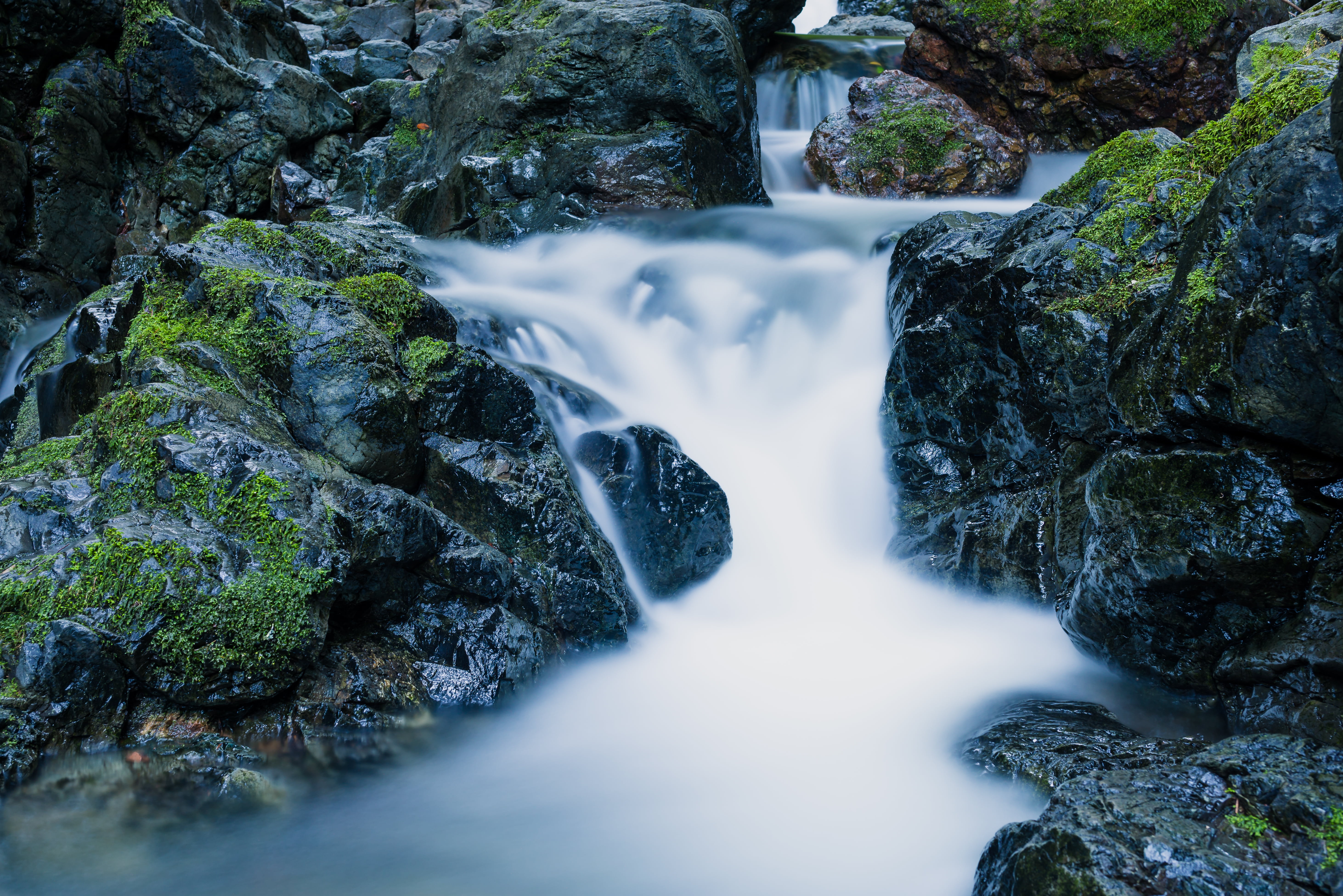 forest, beside, 8mm, 5K, long  exposure, water, formations, landscape, river, fairfax, f1, day, time, outdoor, waterfalls, stream, twilight, freshness, HD Wallpaper