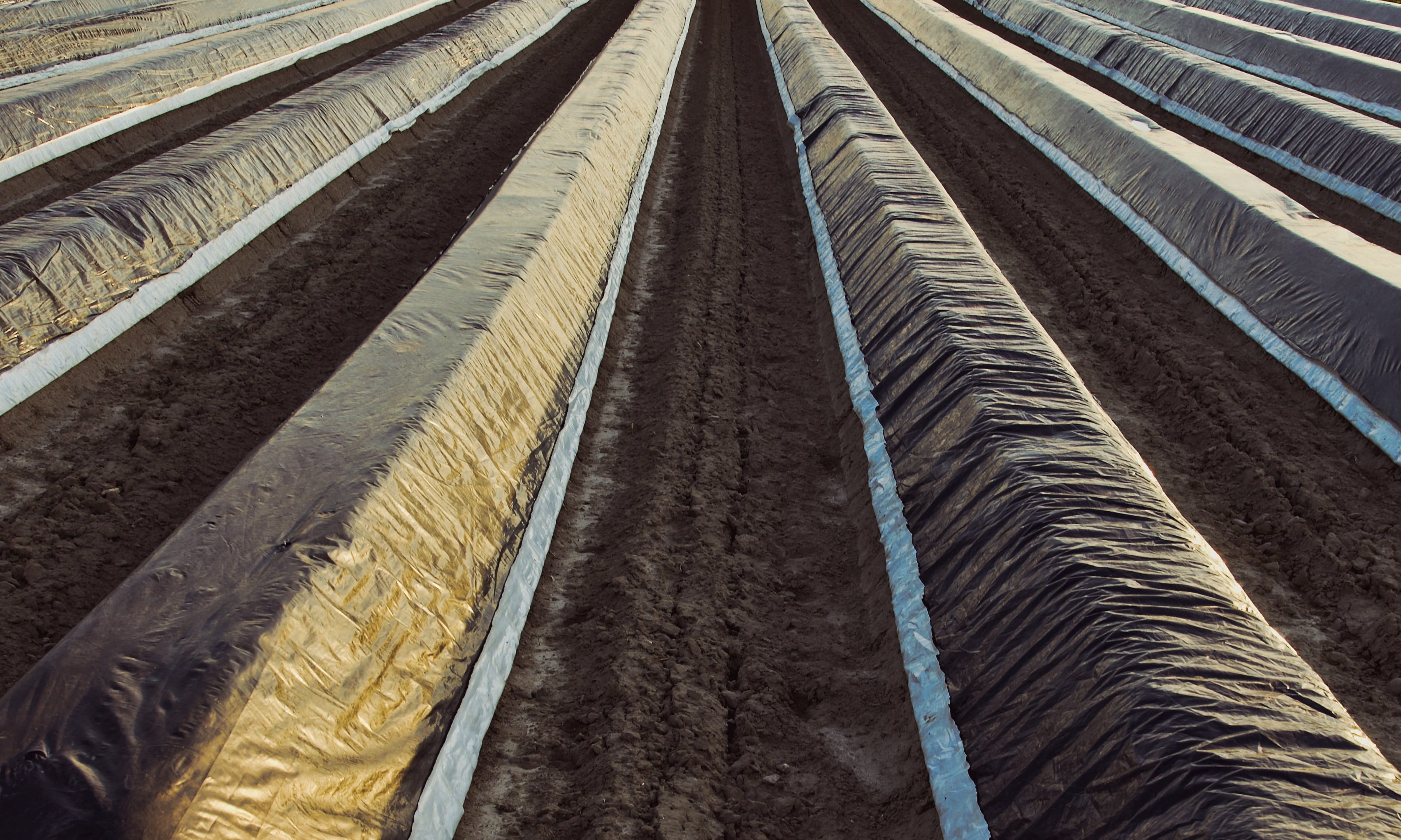 in a row, landscape, wrinkled, slide, transportation, abstract, plastic film, dirt, outdoors, nature, no people, day, land, diminishing perspective, side by side, HD Wallpaper