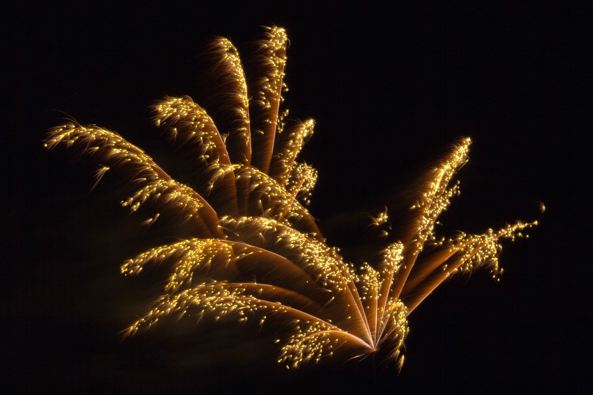 cologne lights, cologne, motion, sylvester, black background, outdoors, no people, gold colored, fireworks rocket, rocket, abstract, firework display, nature, HD Wallpaper