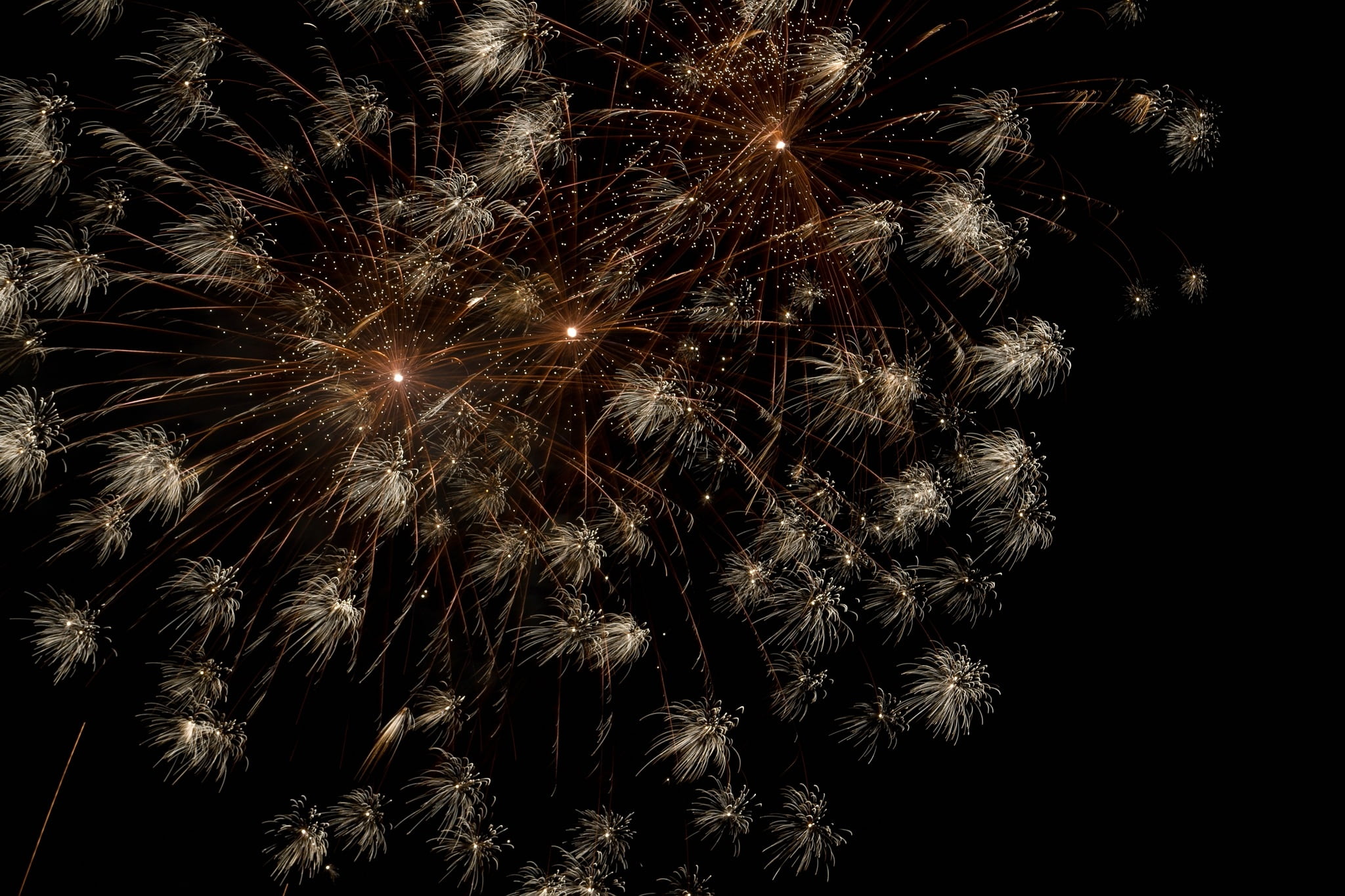 new years day, glowing, softness, 1080P, new years greetings, event, firework, night, rocket, celebrate, evening, show, red, pyrotechnics, firework - man made object, HD Wallpaper