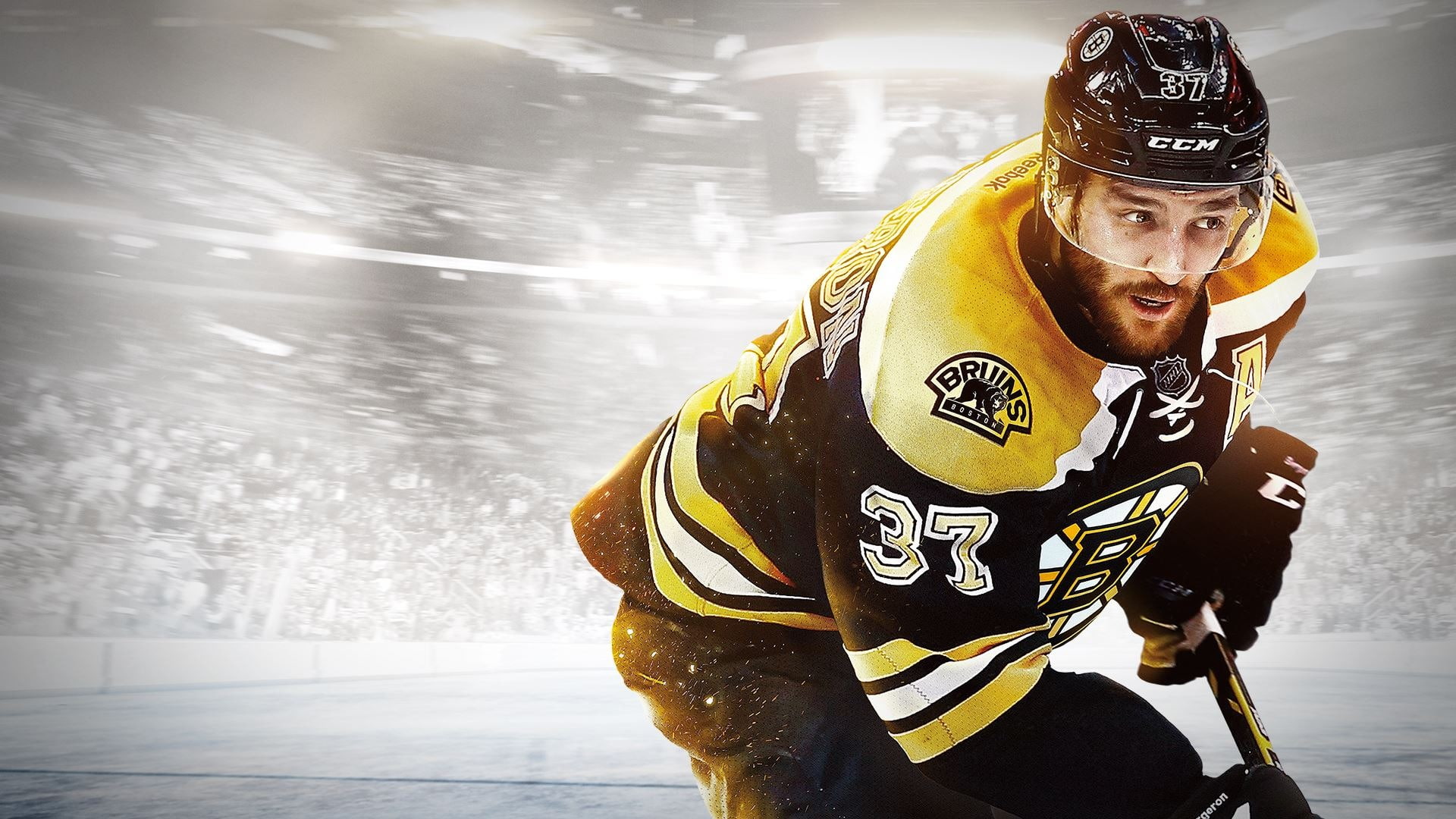 1080P, stick, NHL 15, Patrice Bergeron, hockey, player, EA Sports, helmet, EA Canada, Bruins, gloves, HD Wallpaper