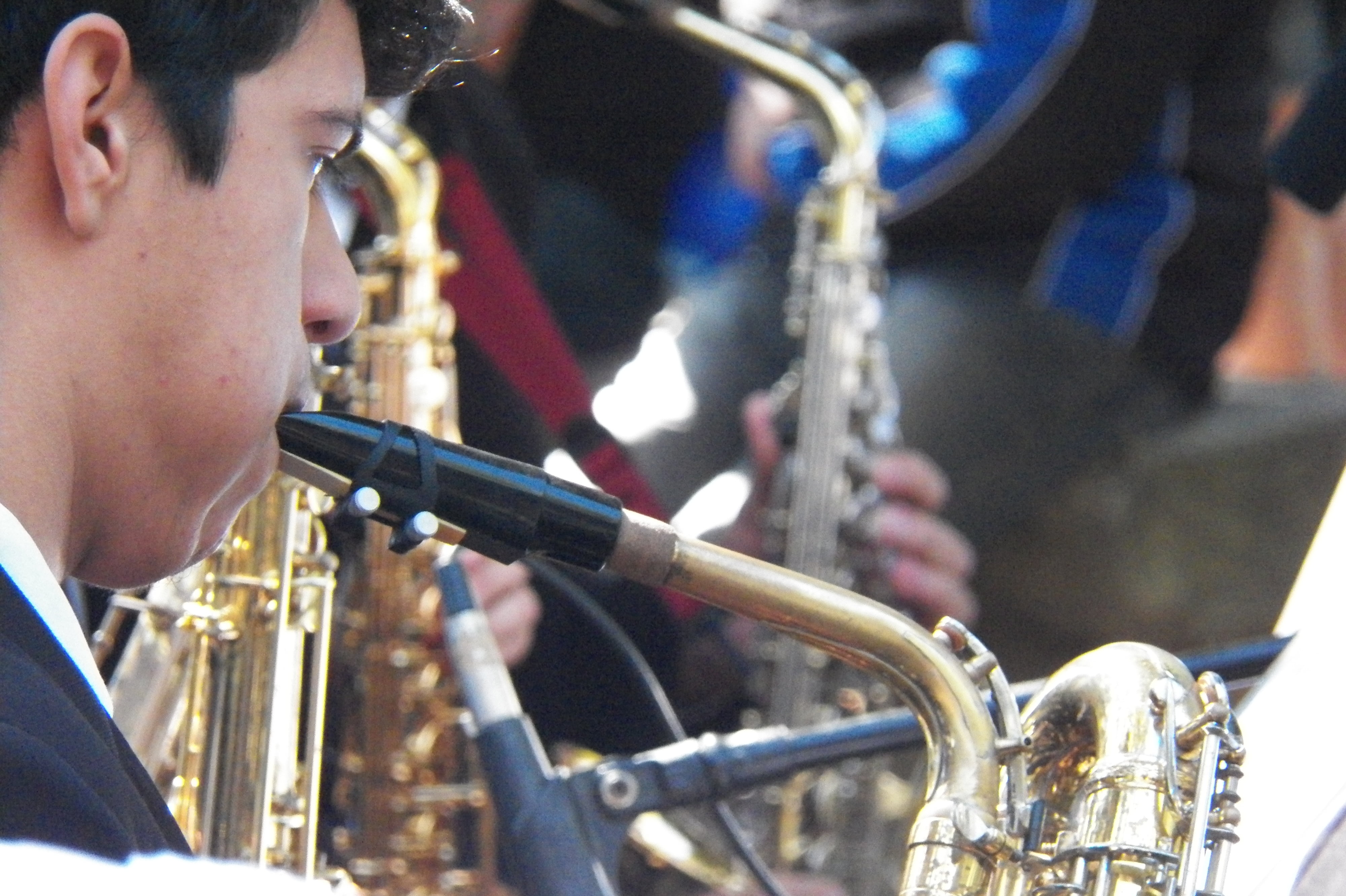 arts culture and entertainment, musician, metal, musical equipment, music, band, trumpet, performance, 4K, saxophonist, holding, real people, stage, wind instrument, HD Wallpaper