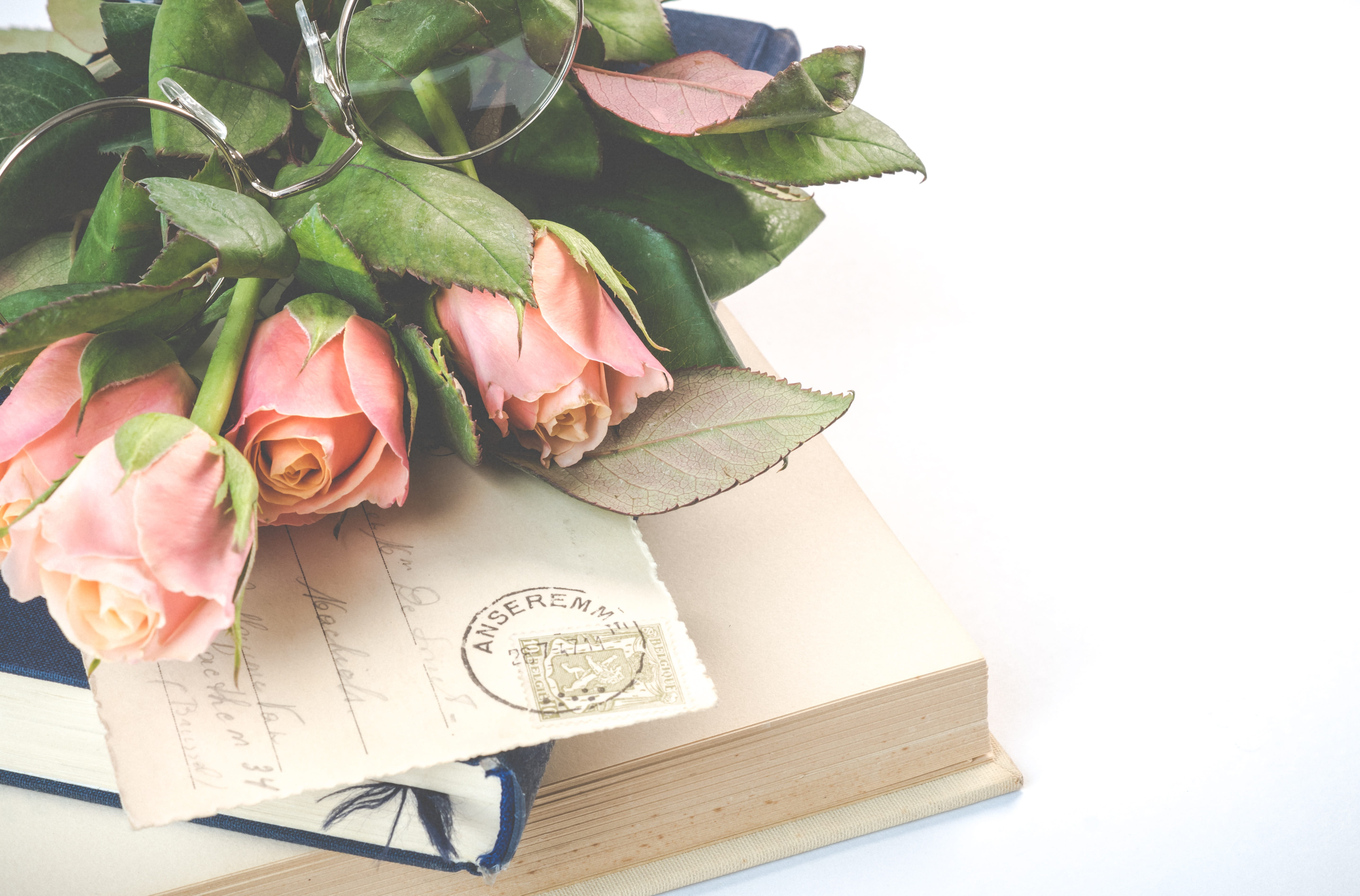 flowering plant, postcards, rose - flower, background, leaf, desktop, flower head, antique, close-up, nature, bouquet, retro, table, vintage, HD Wallpaper