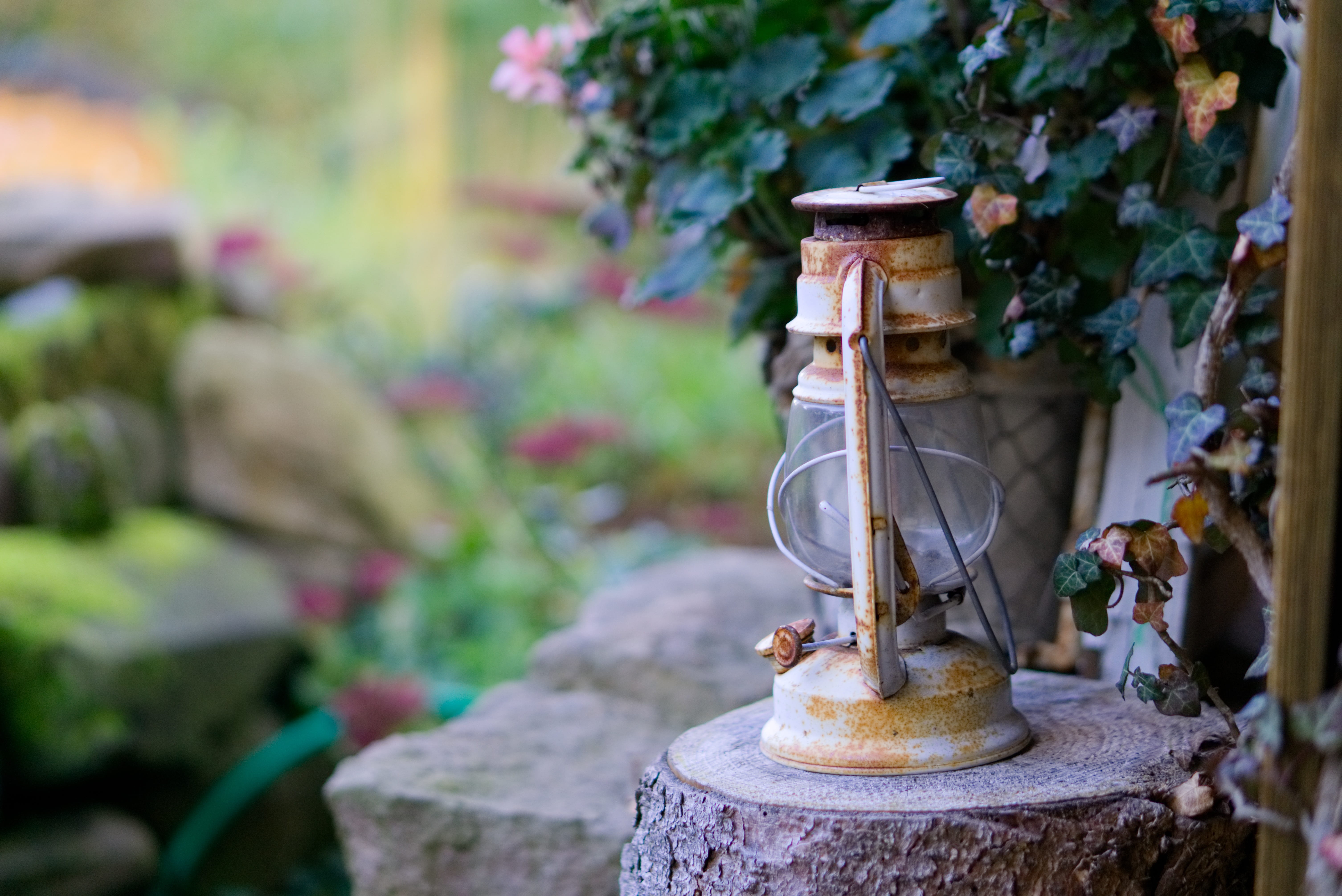front or back yard, nostalgic, at that time, plant, close-up, lighting equipment, wood - material, container, antique, selective focus, day, oil lamp, no people, HD Wallpaper