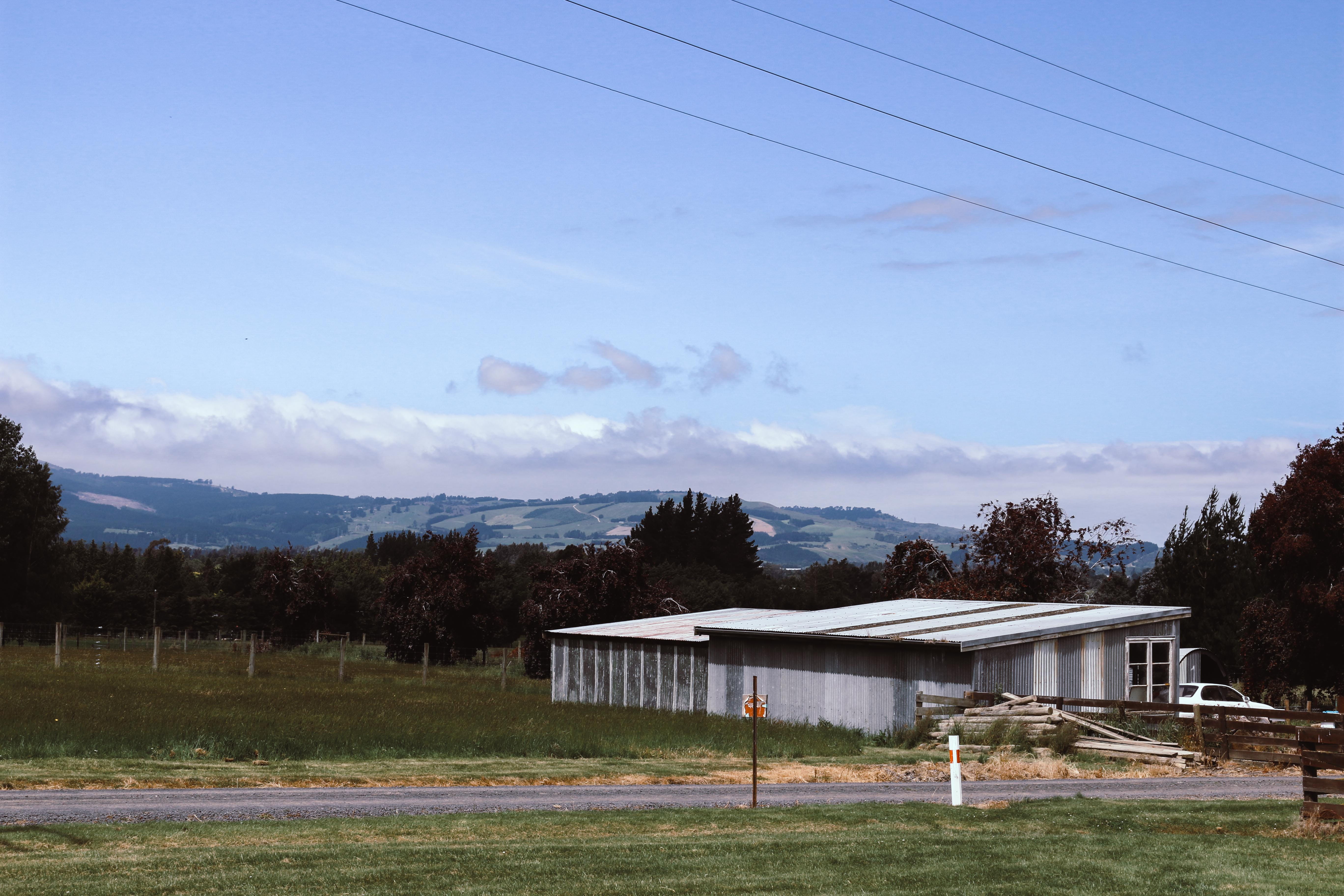 cloud - sky, power supply, architecture, forest, plant, 5K, green, new zealand, farm, east taieri, field, building, landscape, grass, shed, electricity, HD Wallpaper