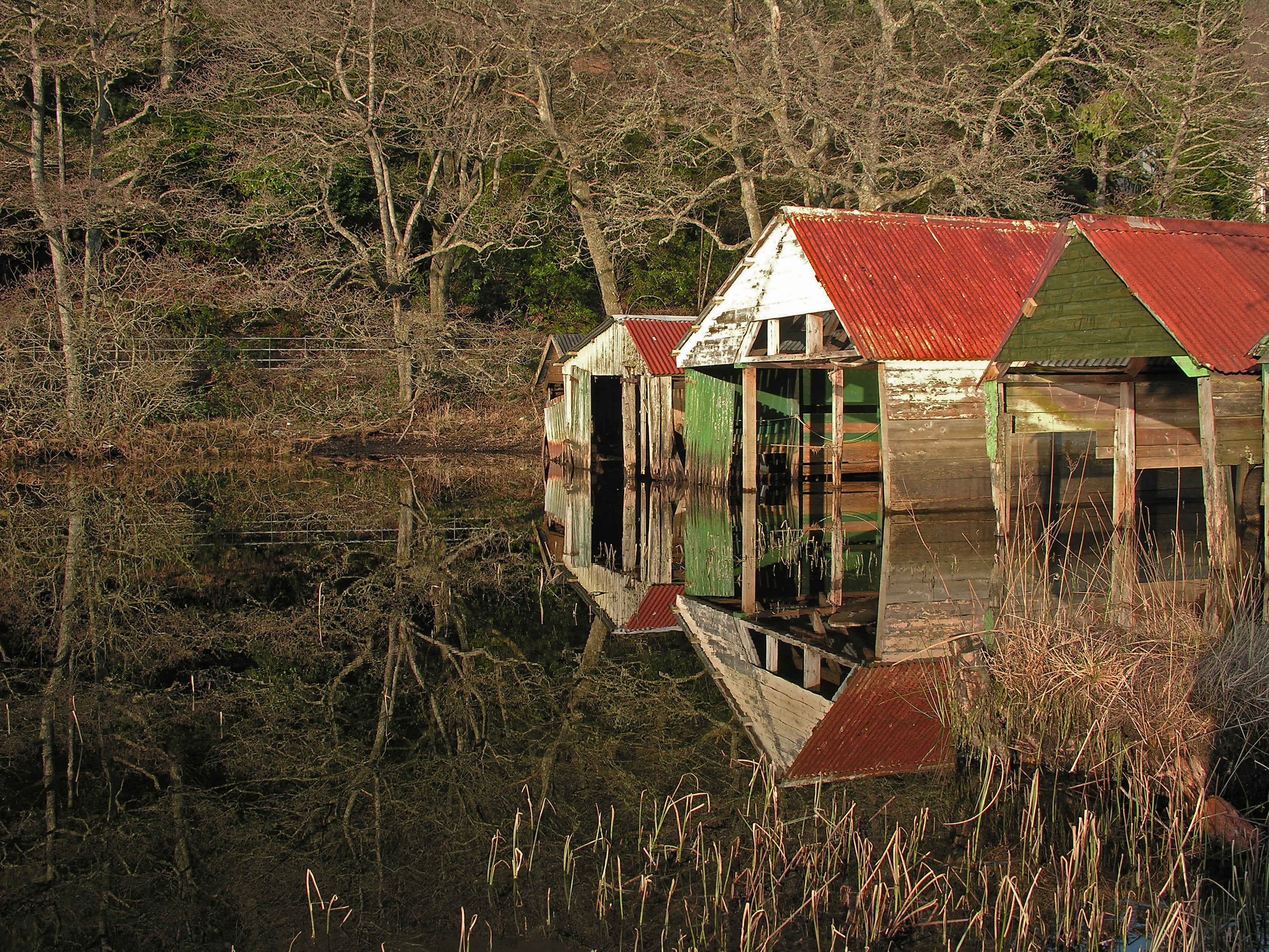tranquility, outdoor, shed, water, wilderness, plant, no people, light, reflection, scenic, wood - material, outdoors, landscape, house, scotland, day, HD Wallpaper