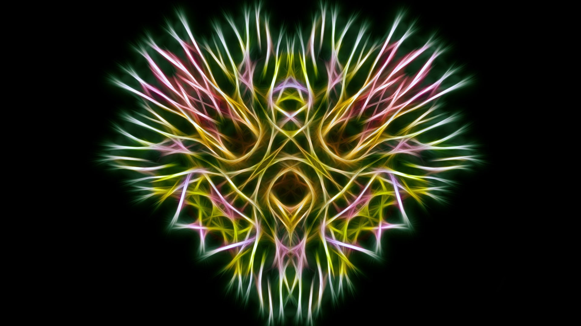 indoors, plant, illuminated, abstract, nature, flower, yellow, black background, studio shot, close-up, multi colored, beauty in nature, 1080P, Fractalius, HD Wallpaper