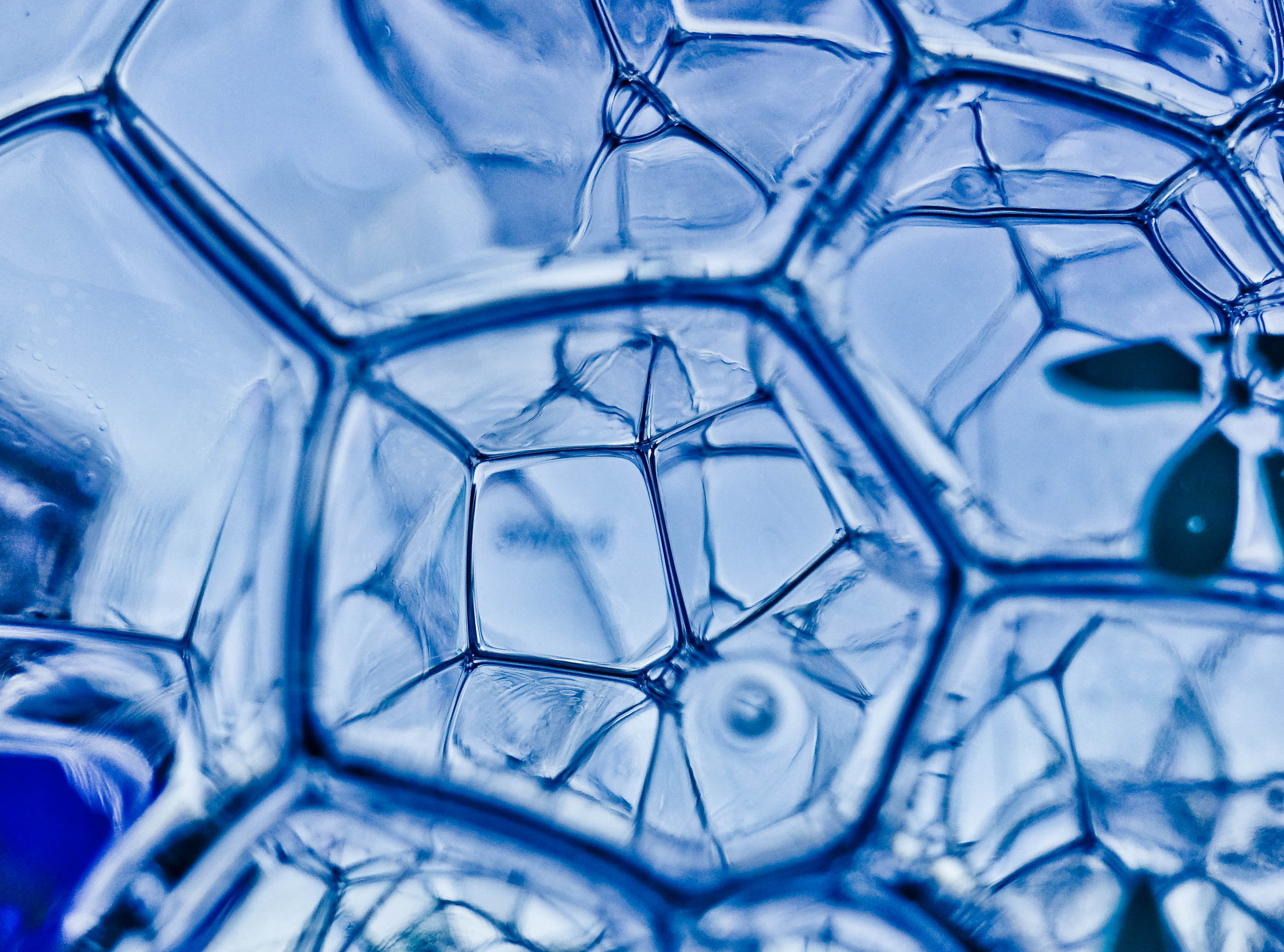 pattern, macro, science, geometry, 4K, water, abstract, magnification, indoors, full frame, nature, soap sud, biology, backgrounds, soap, photography, HD Wallpaper