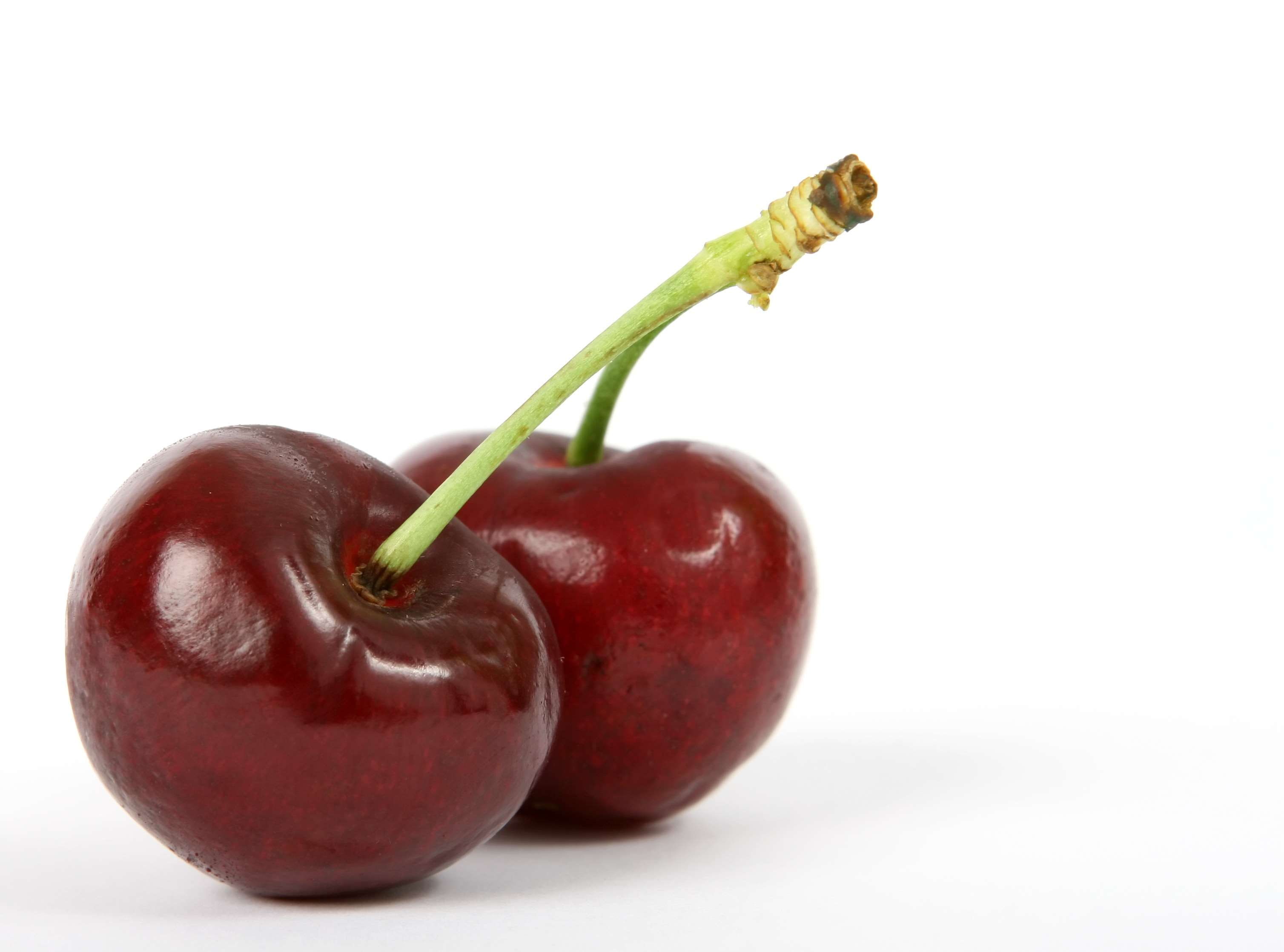 gorgeous, berry, no people, genetic research, freshness, breakfast, diet, cut out, lunch, plant stem, studio shot, ripe, food, good, dessert, fresh, red, HD Wallpaper