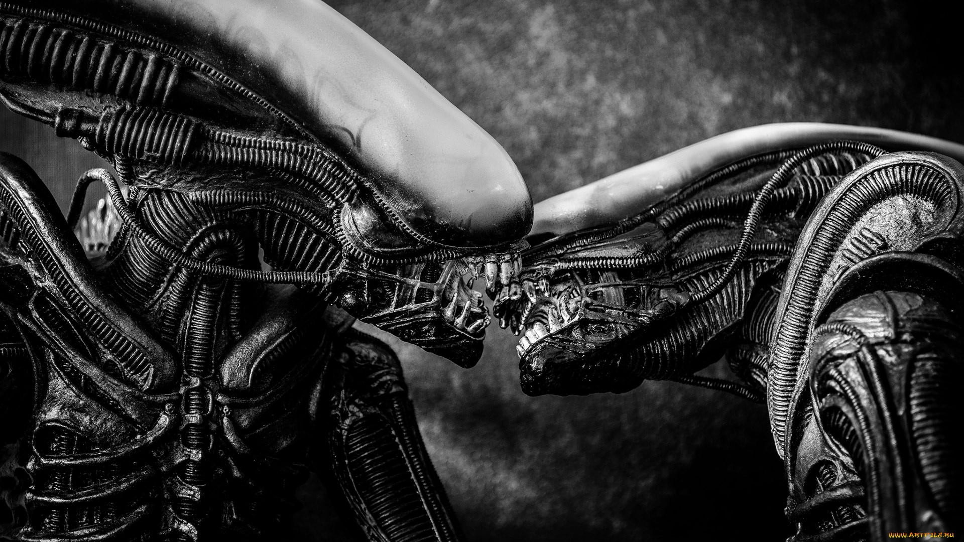 bicycle, finger, day, outdoors, low section, activity, body part, hand, lifestyles, Xenomorph, close-up, one person, human body part, real people, creature, HD Wallpaper
