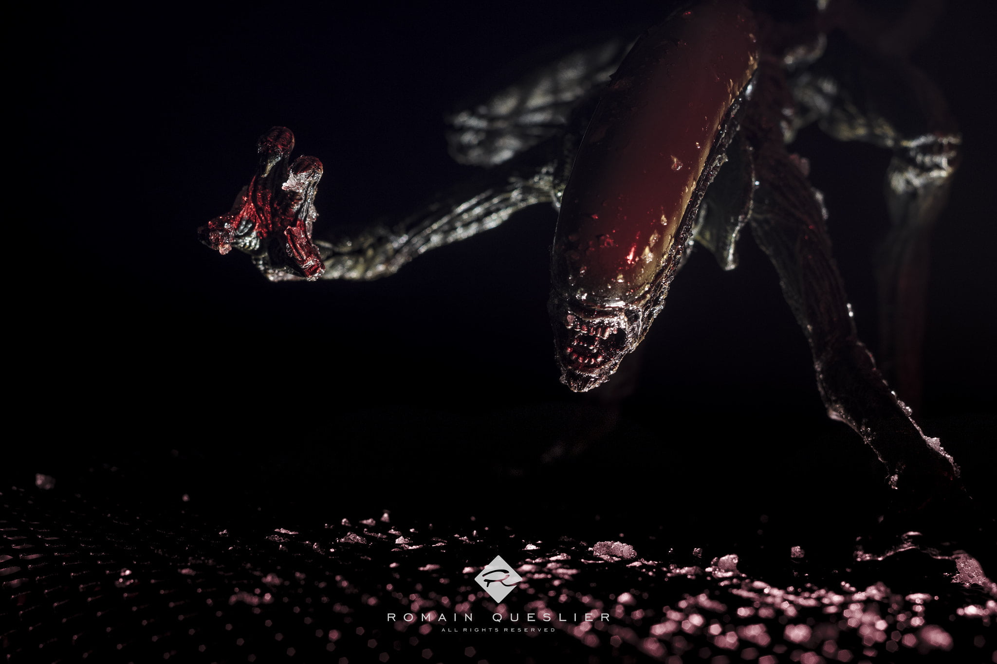 1080P, 500px, black background, indoors, studio shot, close-up, winter, food and drink, food, motion, water, red, purity, nature, no people, mid-air, Xenomorph, HD Wallpaper