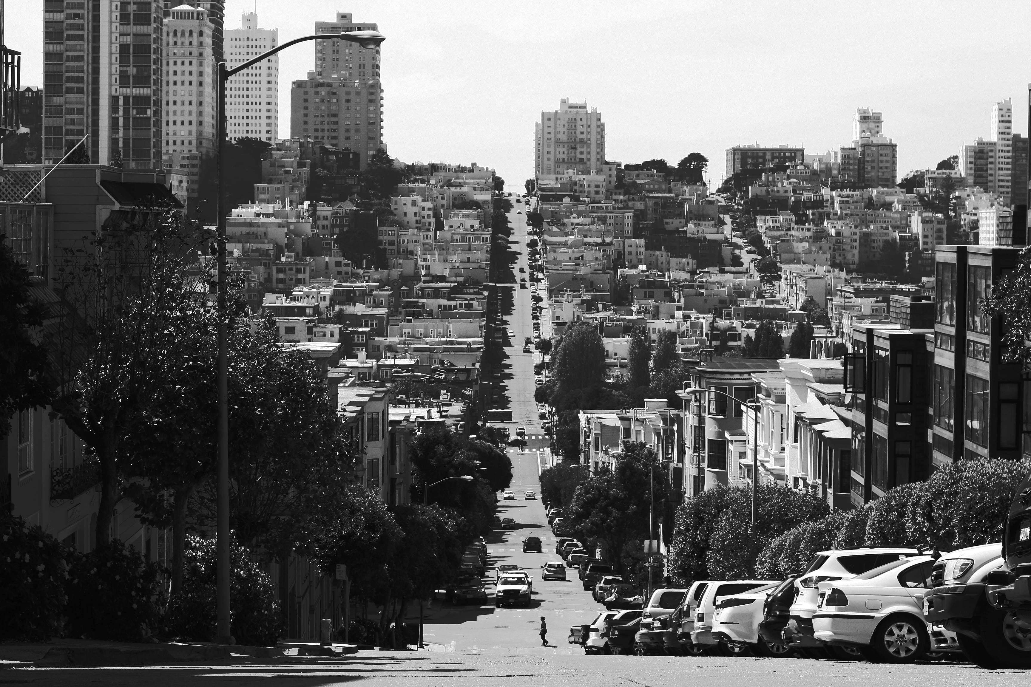 trees, outdoors, grayscale, architecture, city, black and white, residential district, cars, cityscape, road, houses, urban, financial district, nature, HD Wallpaper