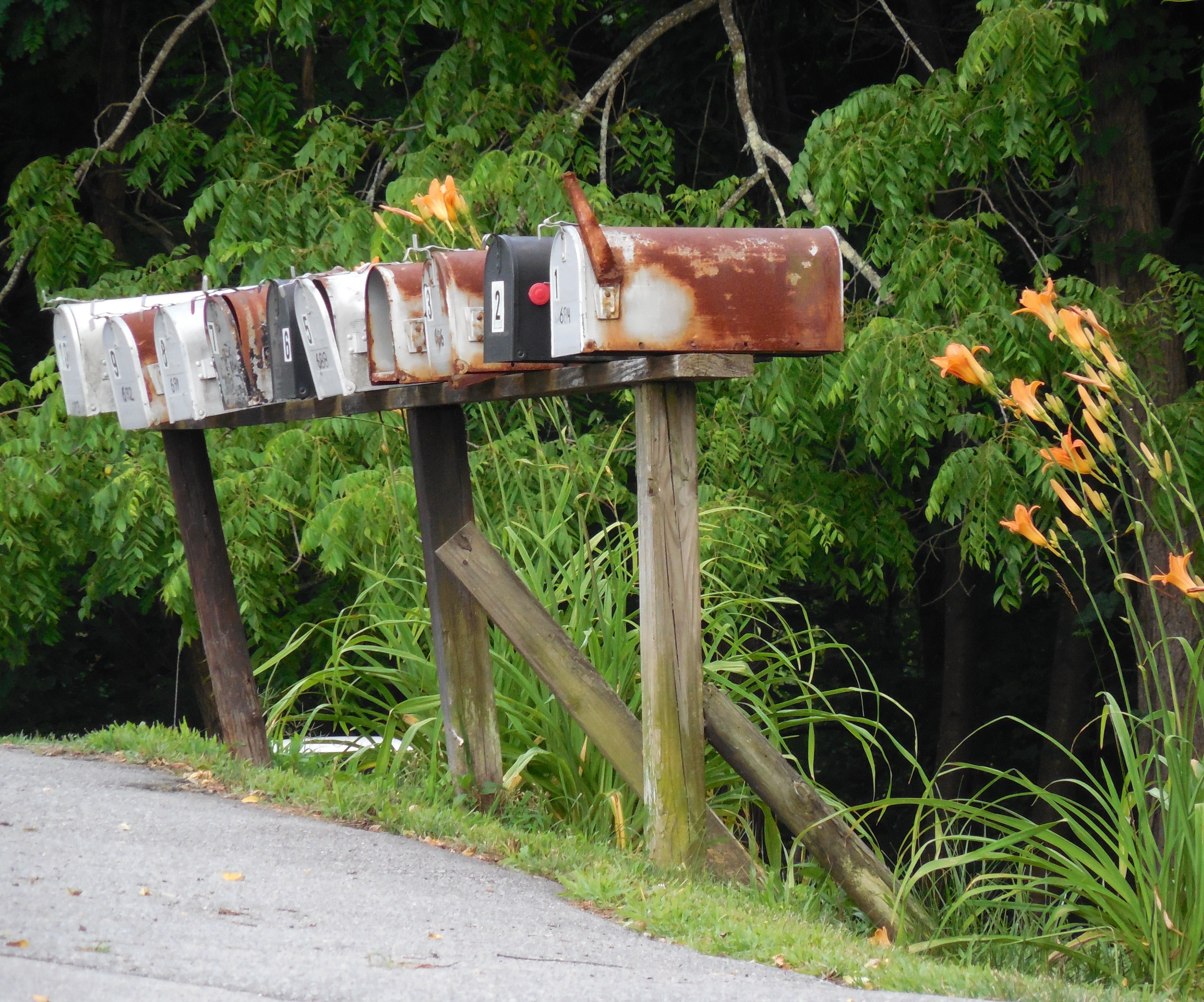 nature, daytime, color, box, letter, service, beauty in nature, exterior, Mailbox, green color, Country, field, 4K, grass, posts, transportation, assorted, HD Wallpaper