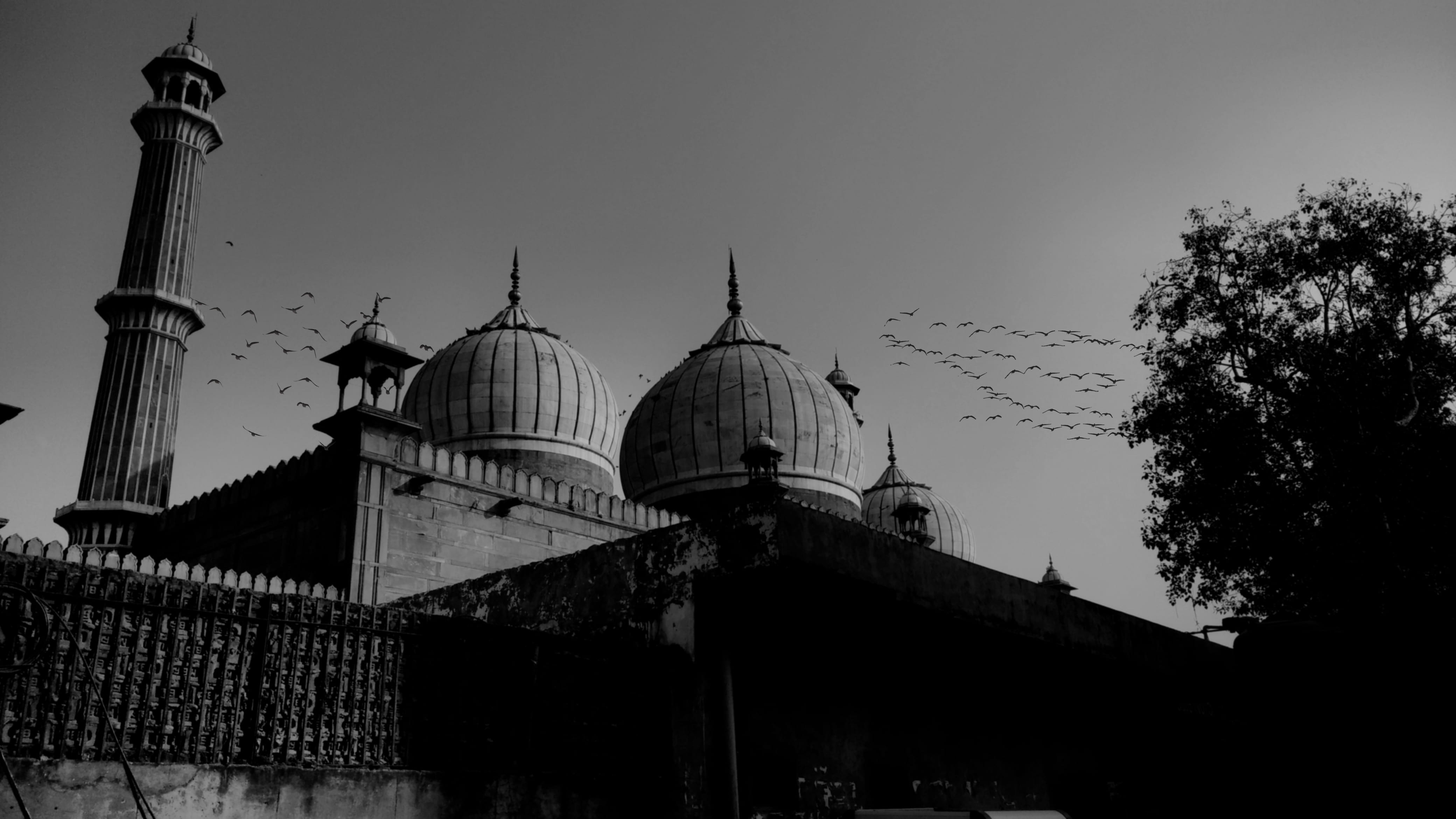 grayscale, birds, dome, tourism, religion, flock of birds, historic, outdoors, belief, landmark, monochrome photography, silhouette, sacred, cathedral, HD Wallpaper