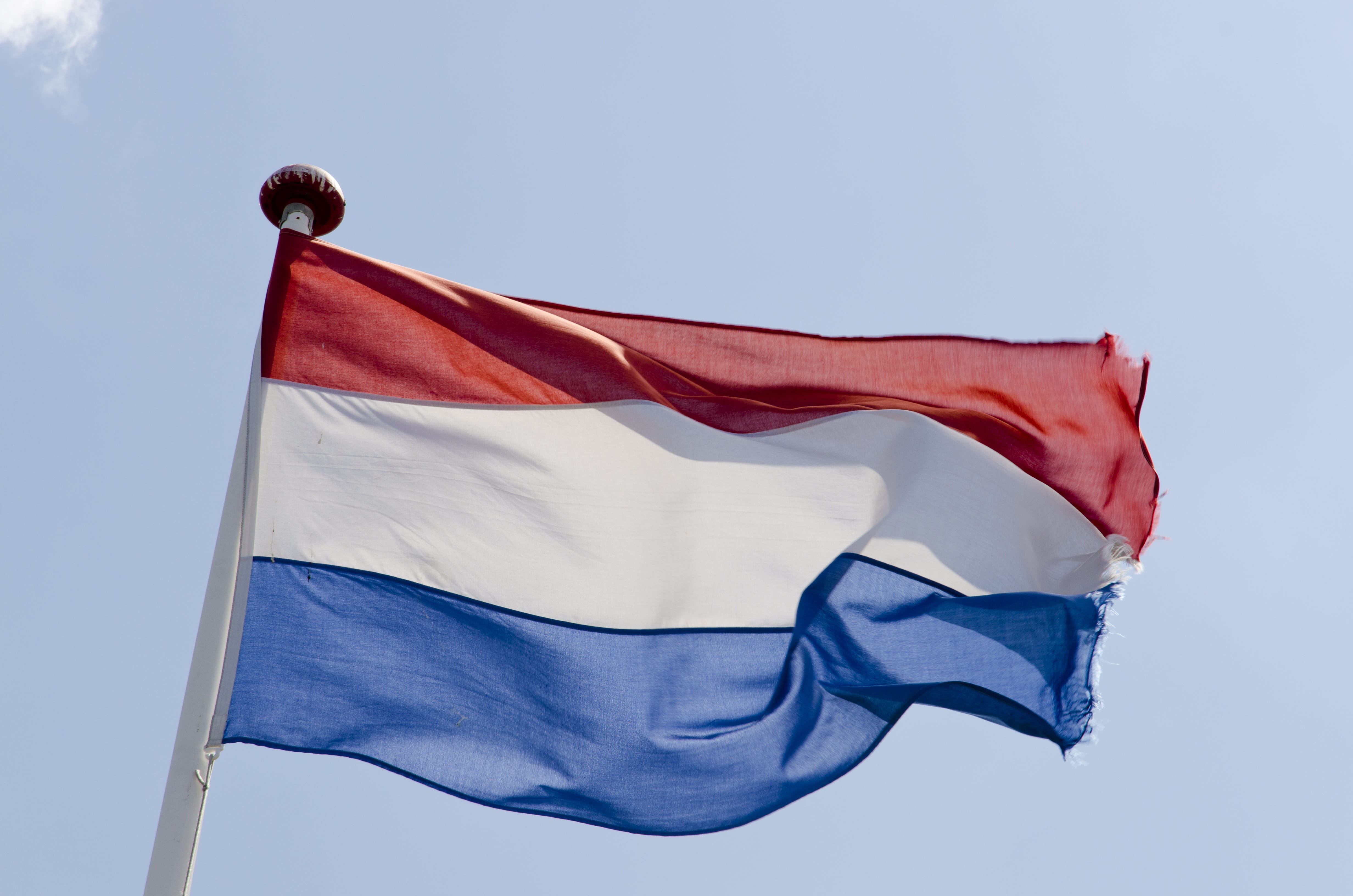 copy space, patriotic, dutch, White, clear sky, white color, Red, sky, no people, day, pride, holland, banner, waving flag, patriotism, country, textile, HD Wallpaper