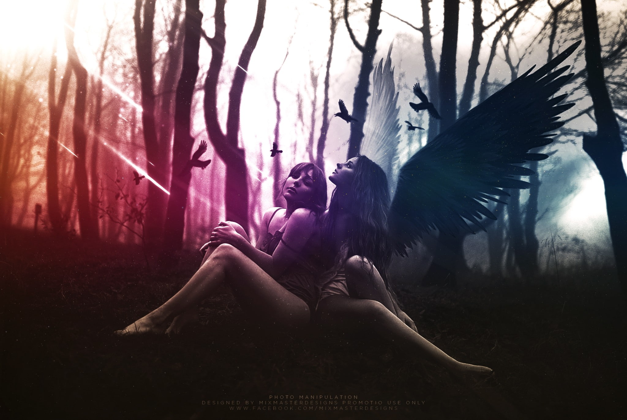 birds, photo manipulation, angel, wings, 1080P, graphic design, HD Wallpaper