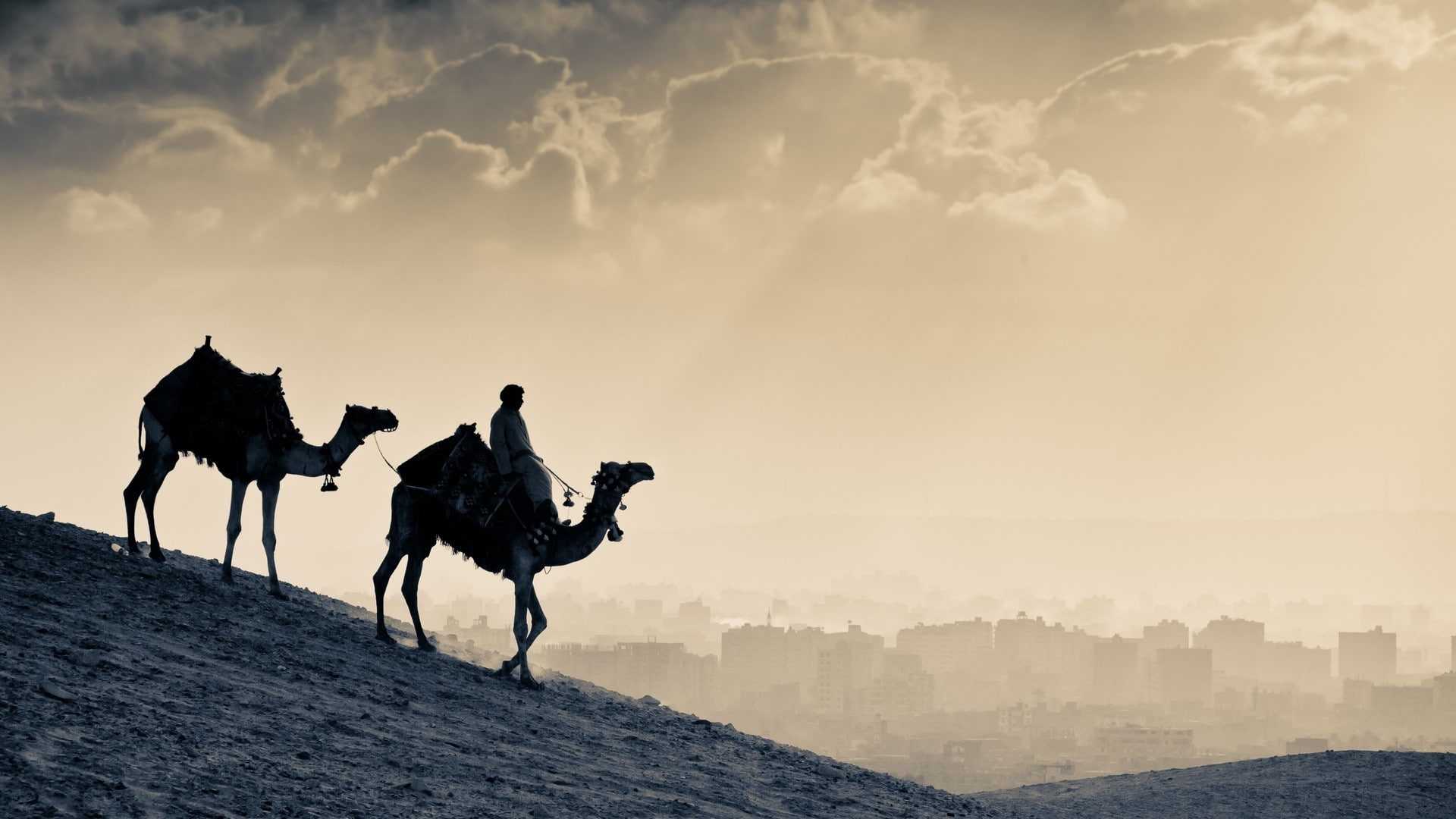 1080P, man, landscape, animals, hd, riding, camel, HD Wallpaper