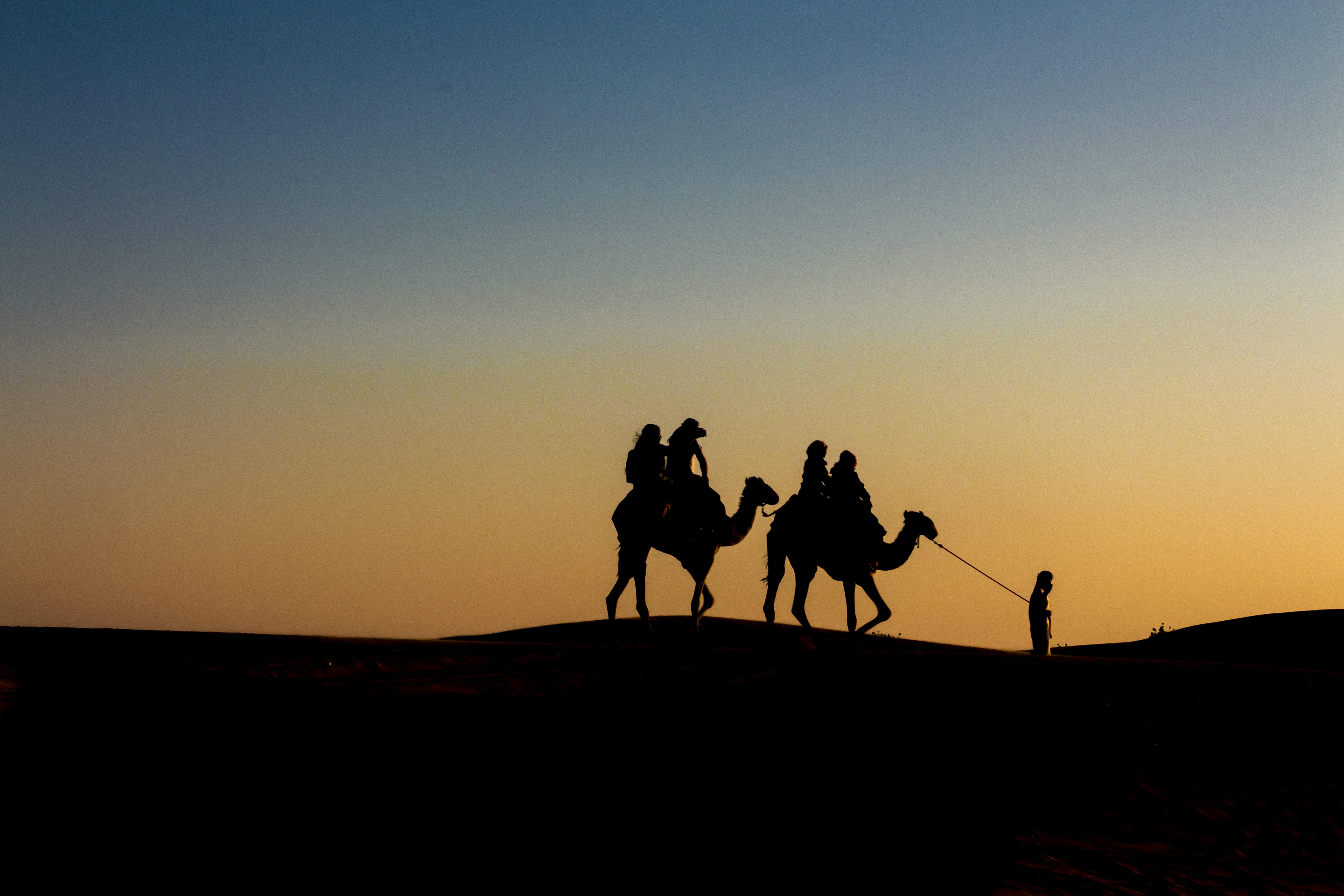 desert, group of people, animal, photography, copy space, sky, arid climate, land, domestic animals, domestic, animal themes, two, 5K, mammal, landscape, HD Wallpaper