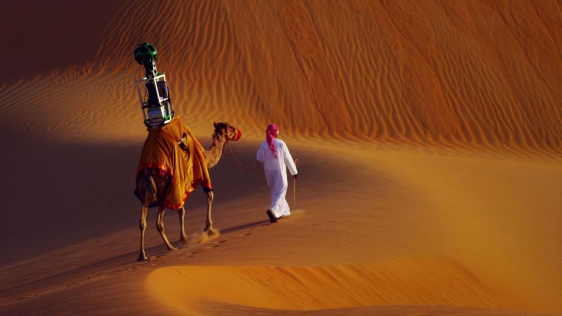 adult, sand, mammal, camels desert google google street view camera liwa desert, camel, 1080P, one animal, group of people, working animal, full length, HD Wallpaper
