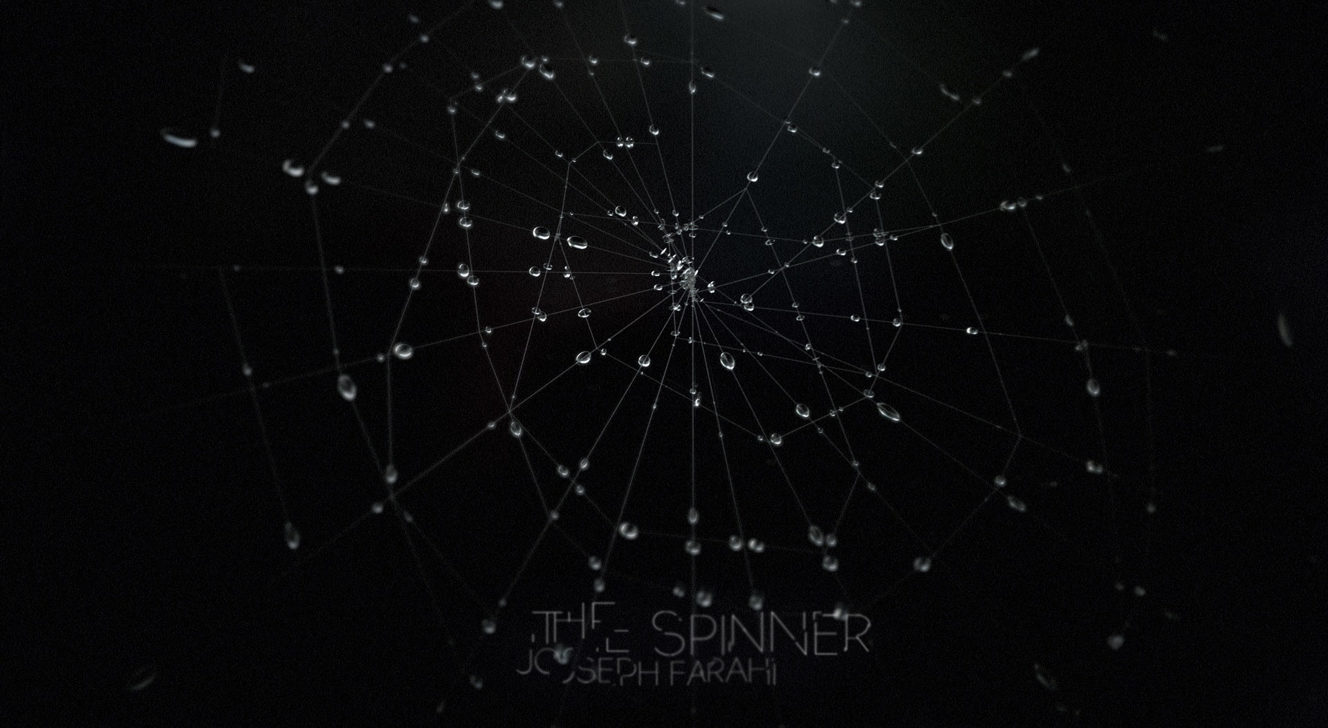 3d, studio shot, design, dark, spinner, spider, indoors, poster, cool, black background, vulnerability, nature, animation, close-up, web, pattern, focus on foreground, HD Wallpaper