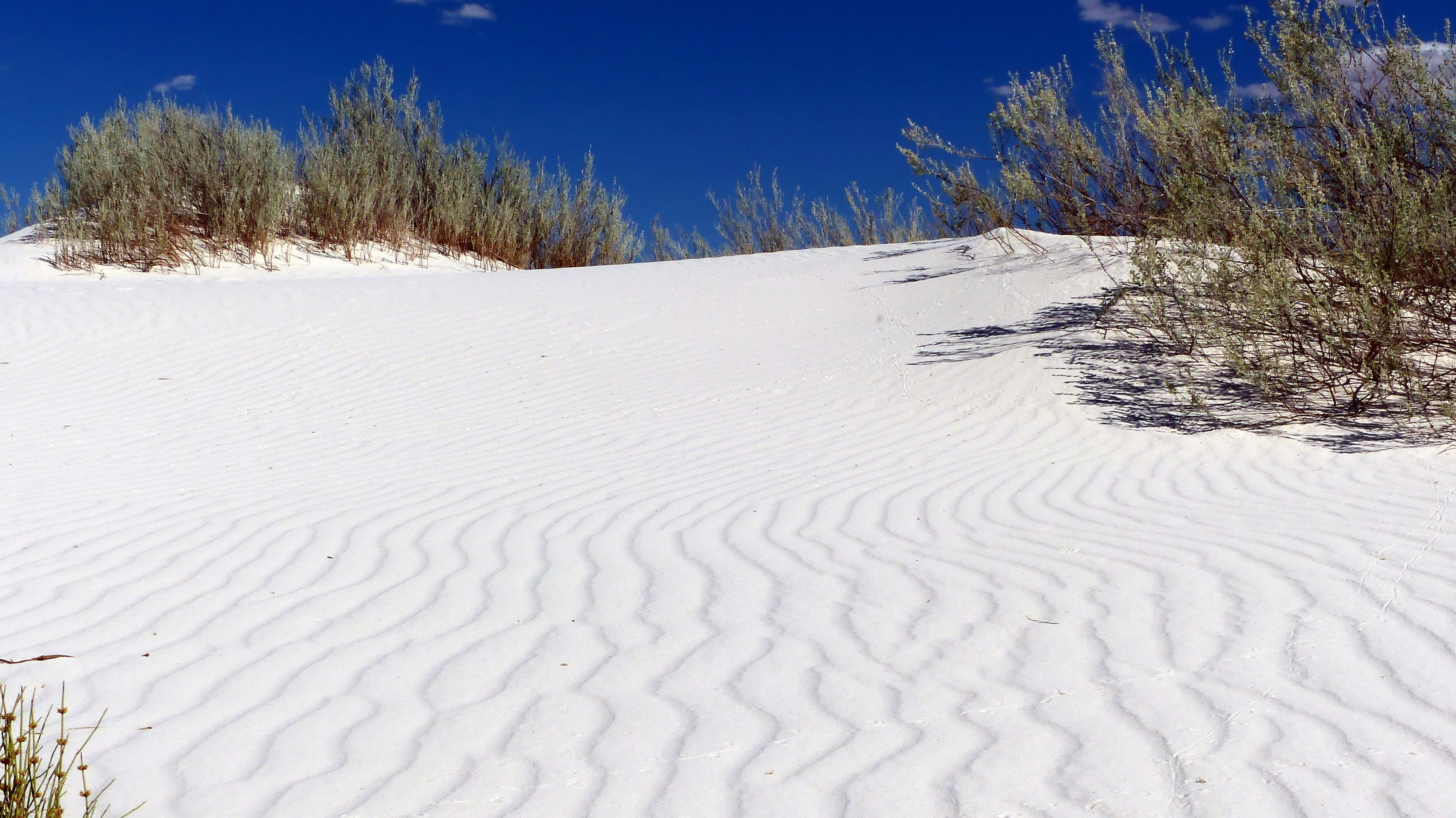 scenics - nature, tranquil scene, beauty in nature, vegetation, sky, 4K, sands, land, environment, cold temperature, winter, desert, no people, non-urban scene, HD Wallpaper