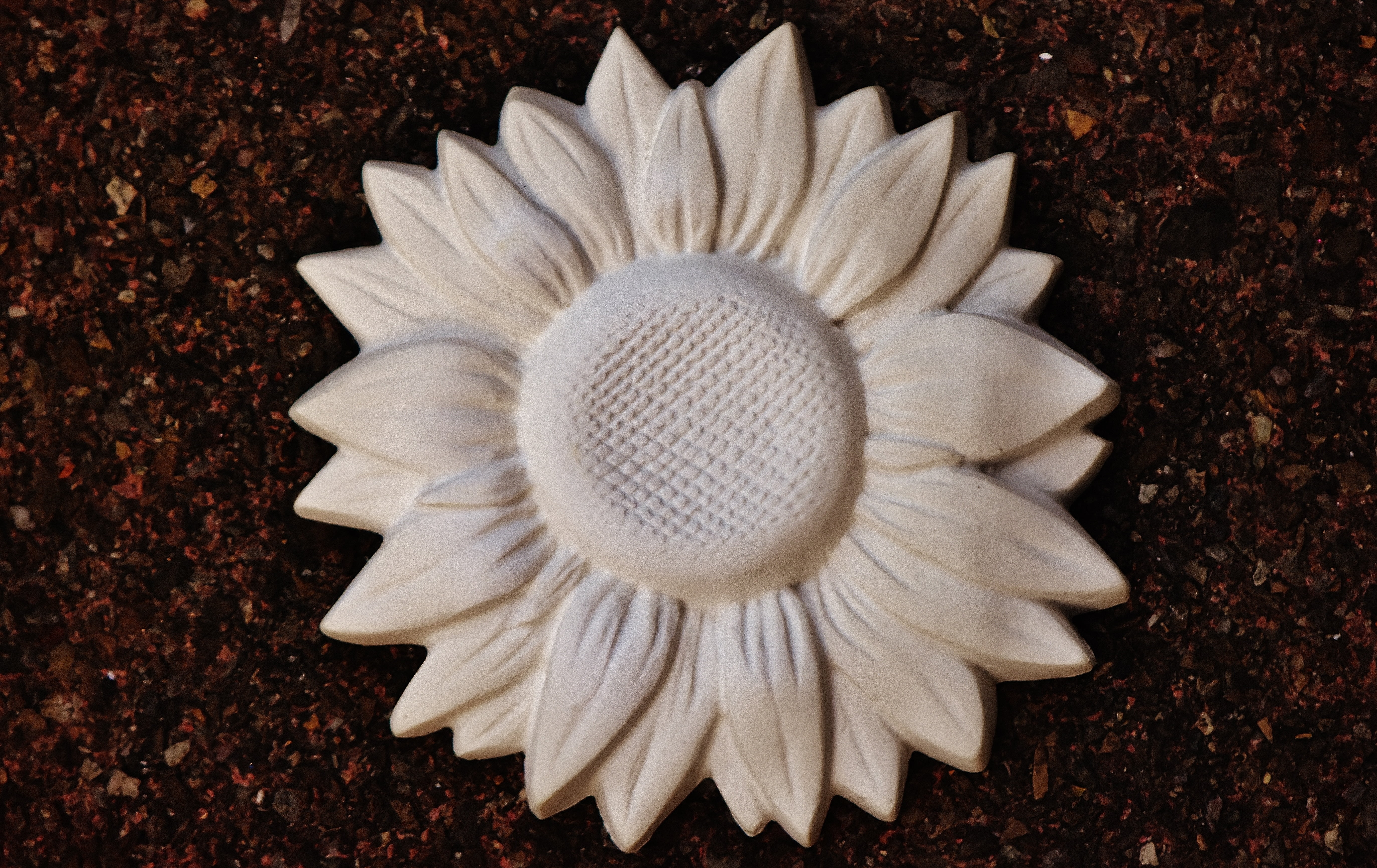 sun flower, day, inflorescence, 5K, indoors, no people, studio shot, high angle view, blank, directly above, freshness, art and craft, white color, gypsum, HD Wallpaper