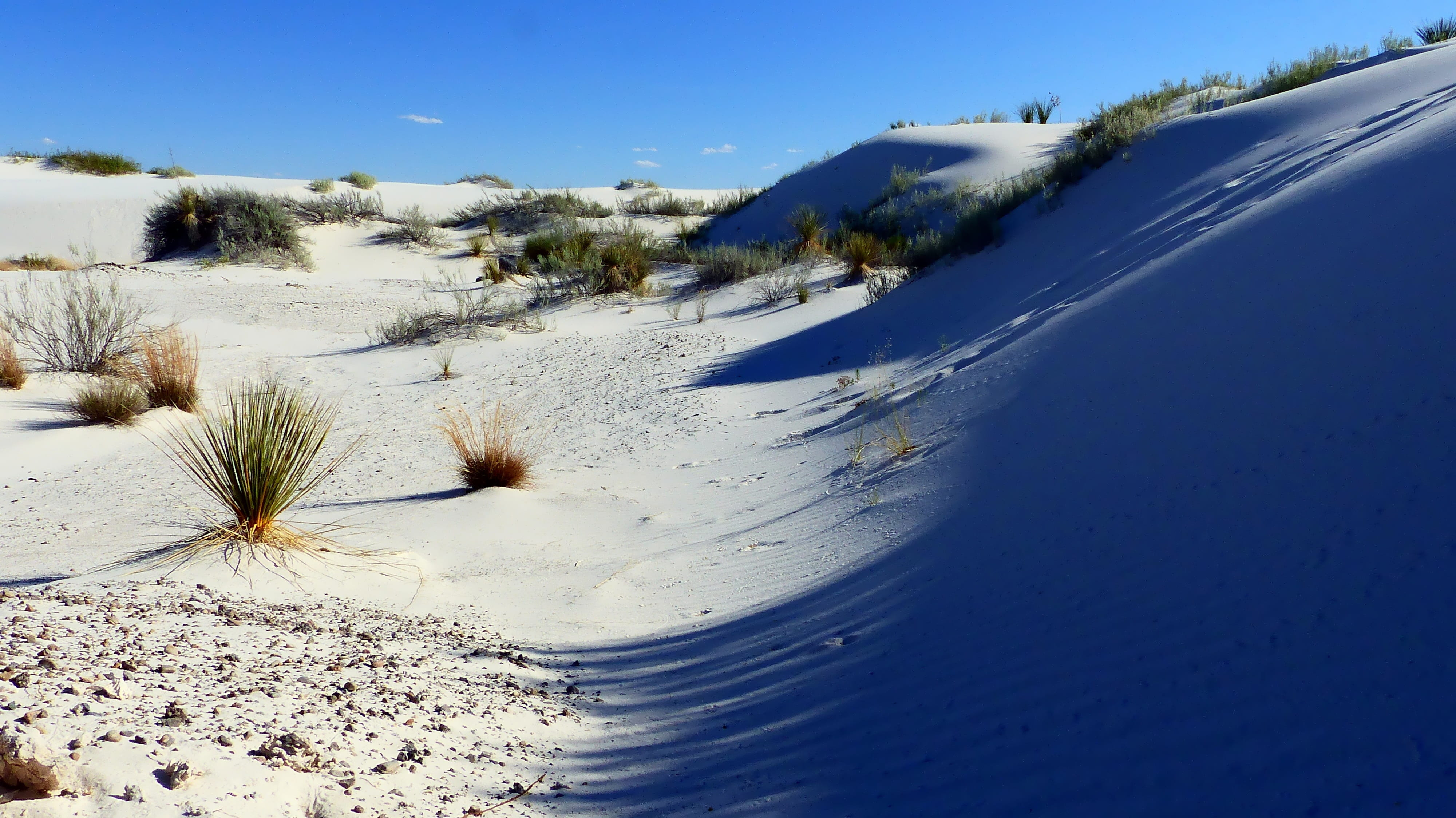 clear sky, covering, environment, 4K, land, non-urban scene, landscape, sky, dry, tree, cold temperature, gypsum, scenics - nature, snow, day, usa, sands, HD Wallpaper