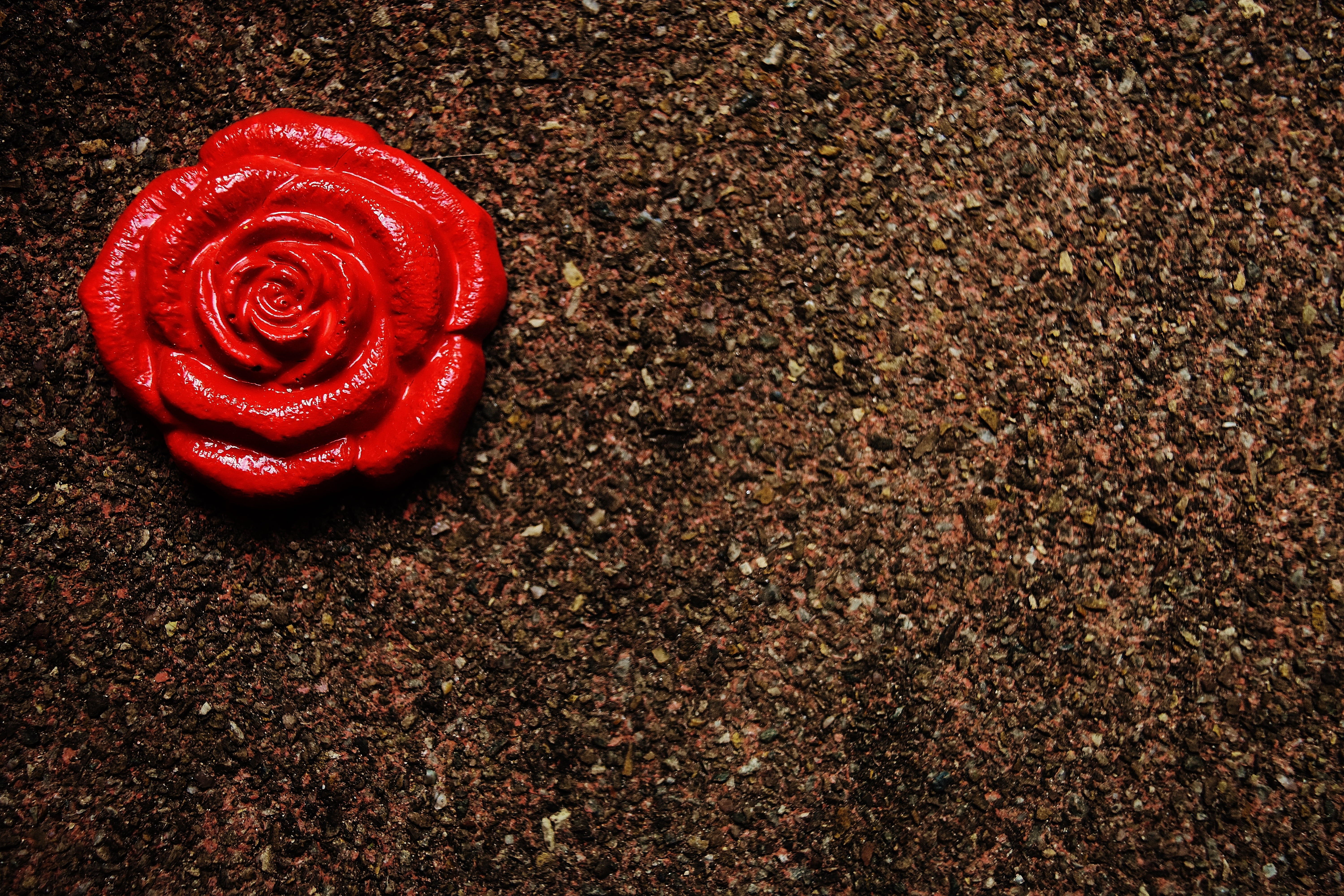 indoors, high angle view, single object, rose - flower, red, inflorescence, 5K, close-up, petal, tinker, flower, colorful, cast, decoration, still life, HD Wallpaper