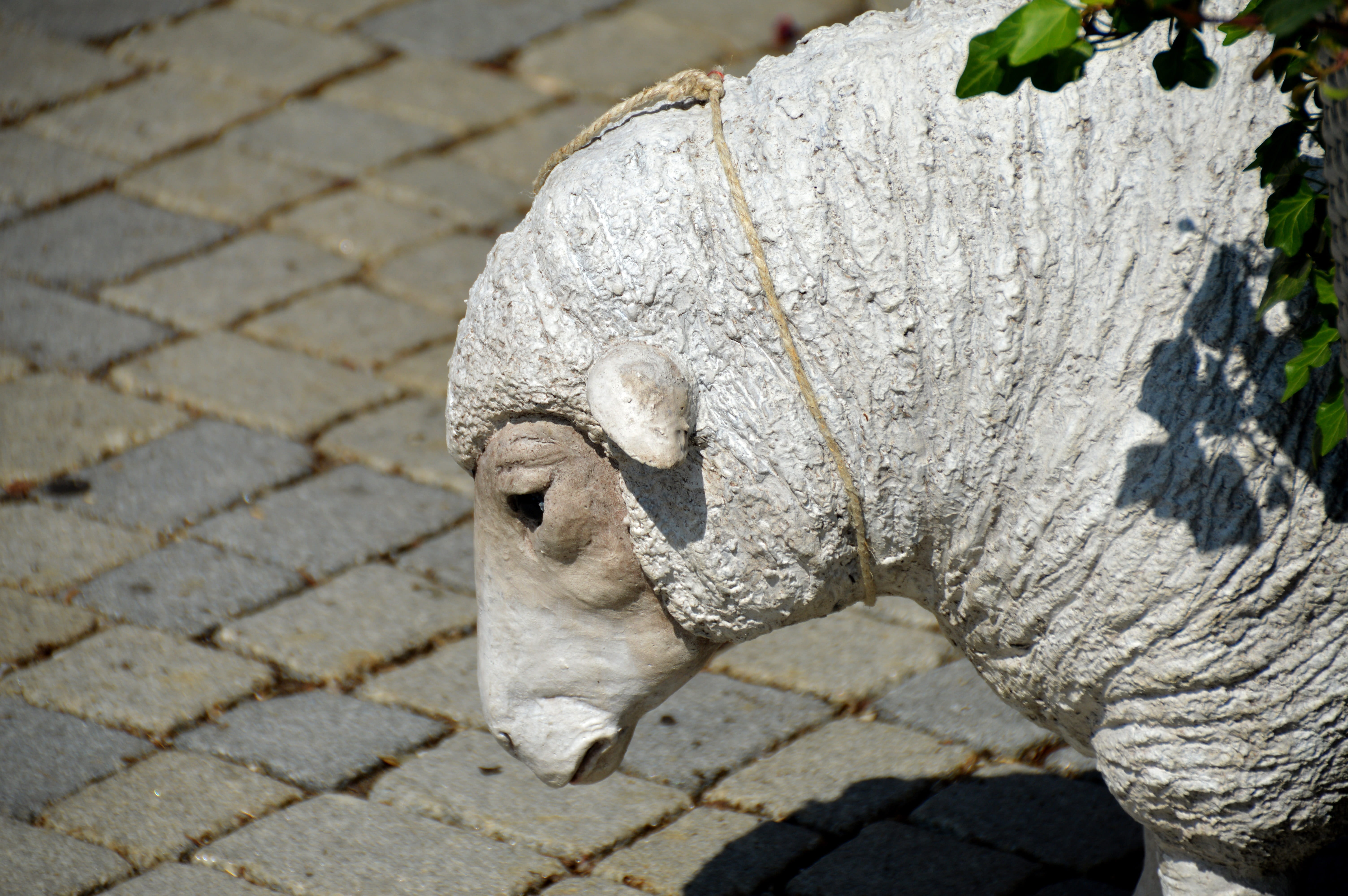 sunlight, paving stone, 5K, stone material, art and craft, Sheep, Head, human representation, Gypsum, representation, creativity, statue, craft, animal, HD Wallpaper