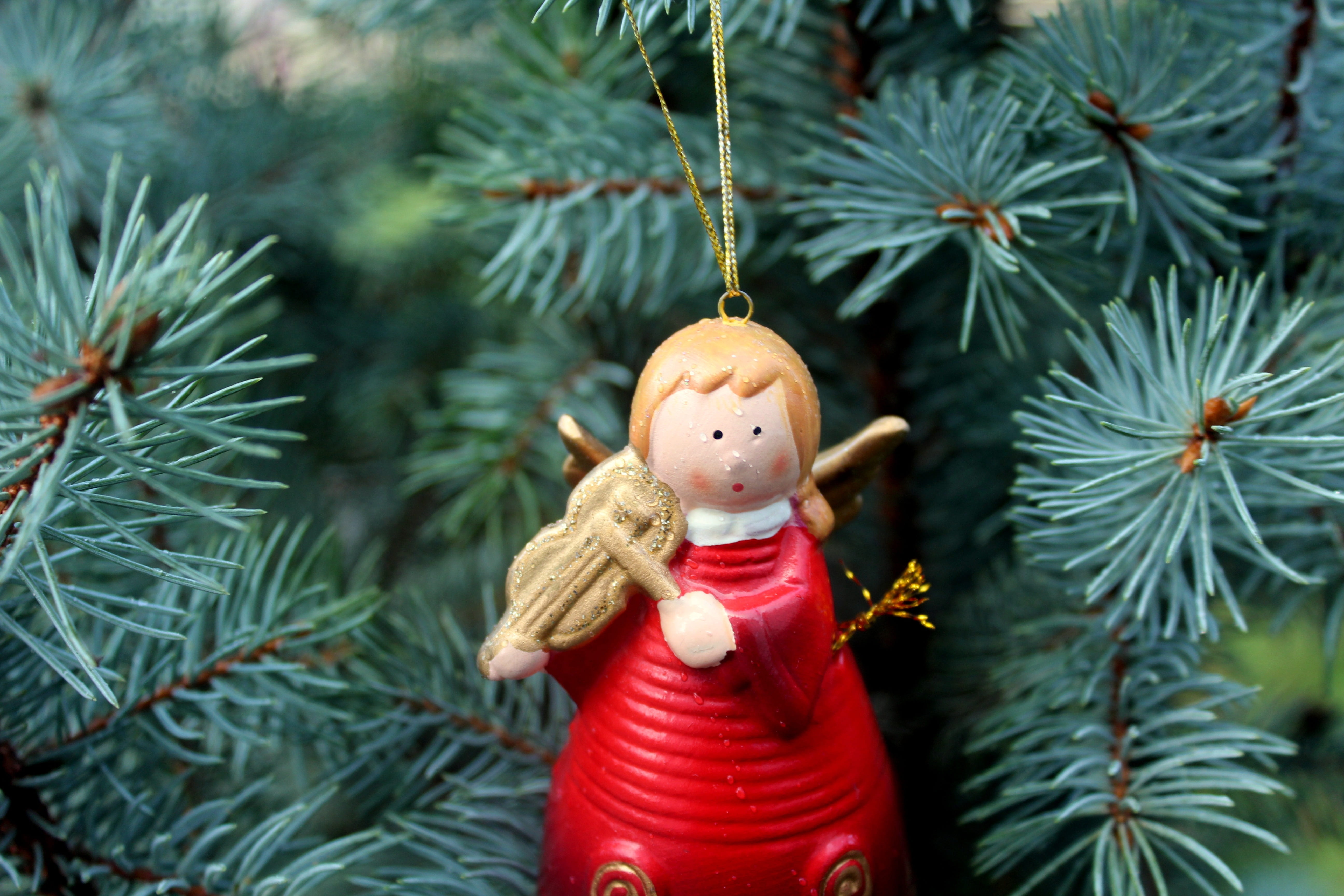 gypsum, christmas ornament, the figurine, tree, winter, ornament, human representation, celebration, representation, green color, christmas tree, red, creativity, HD Wallpaper