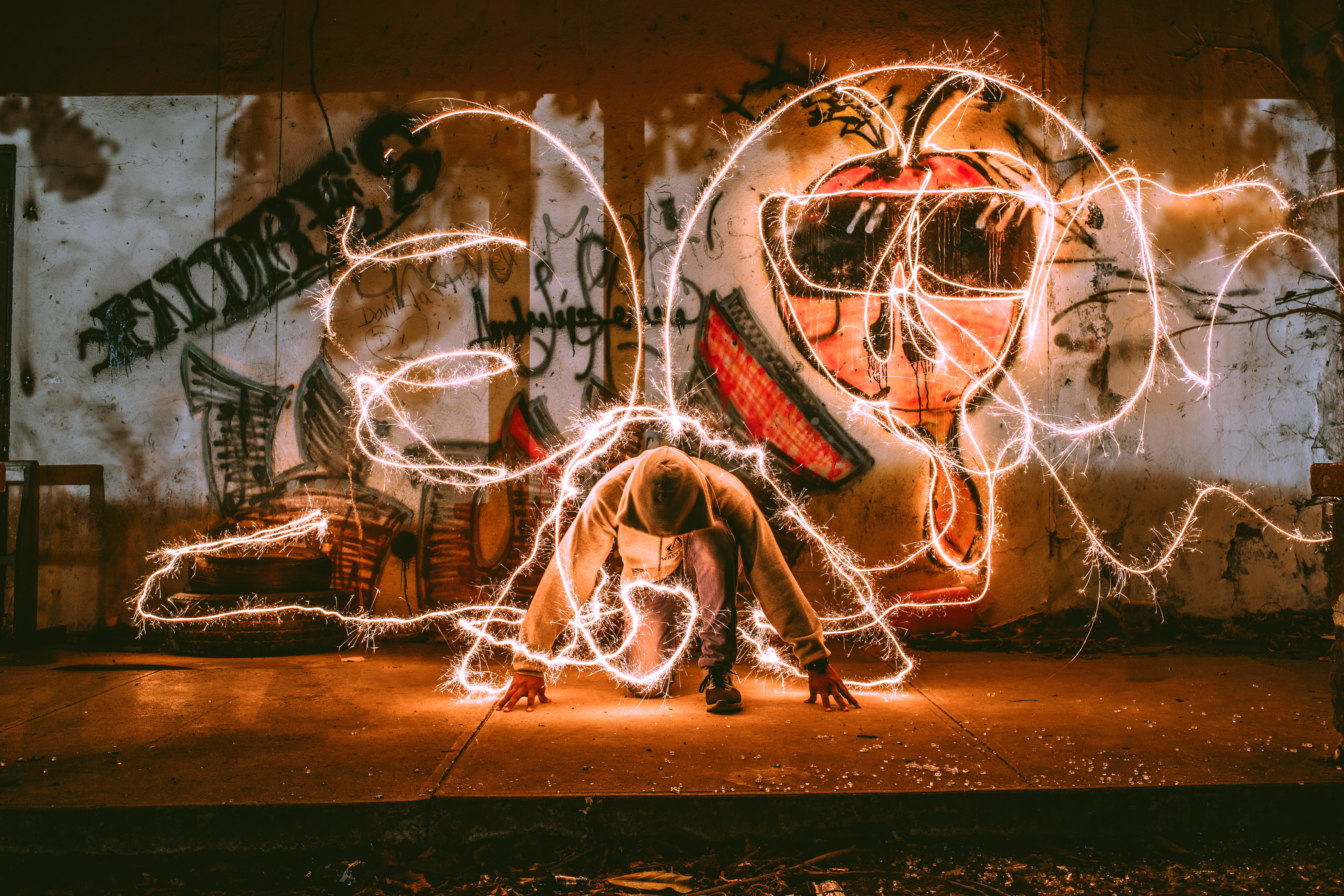 creativity, animal, steel, illuminated, wall - building feature, architecture, motion, squatting, blurred motion, night, no people, graffiti, full length, HD Wallpaper