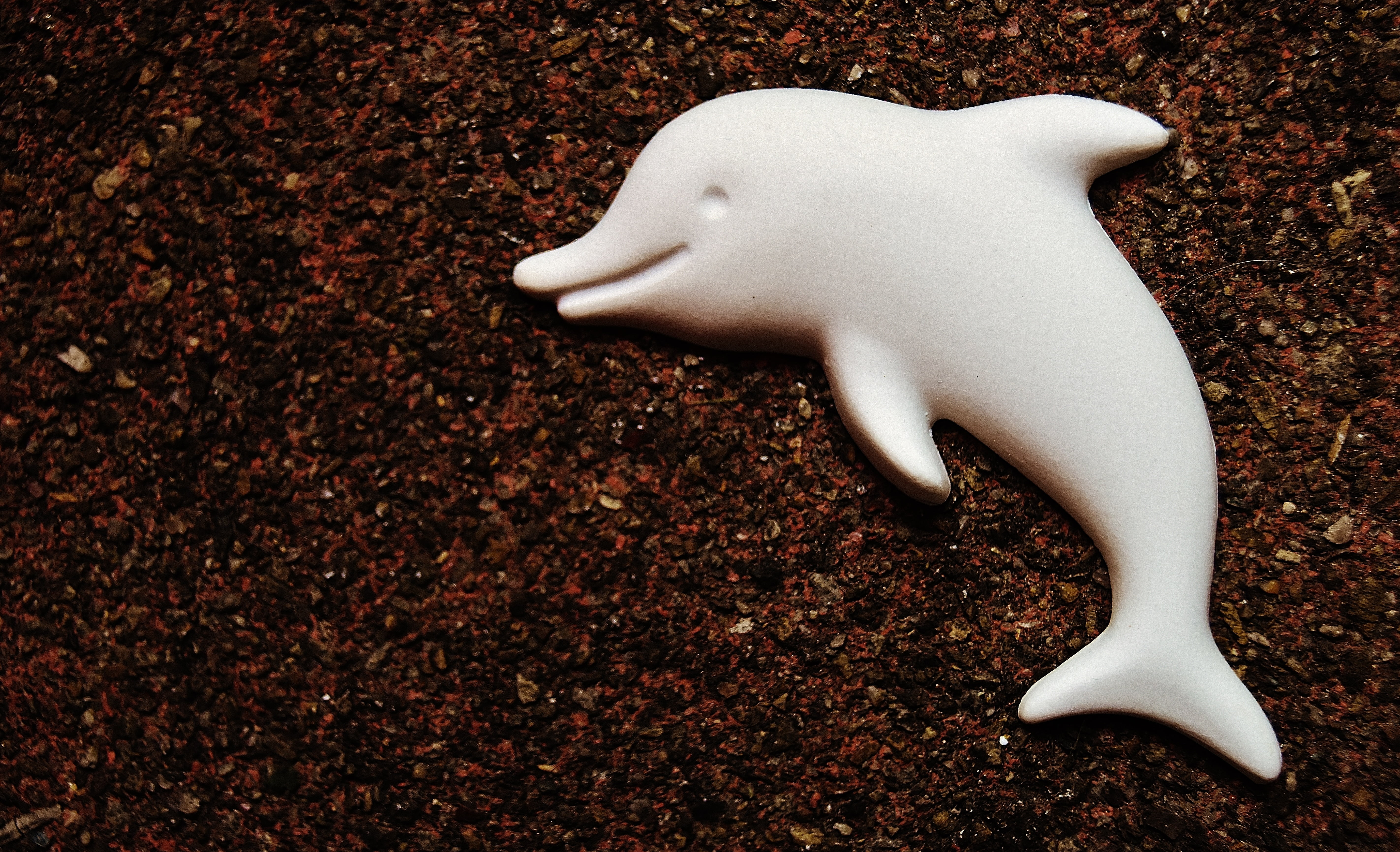 blank, food, representation, dolphin, no people, baked, temptation, cast, 5K, studio shot, high angle view, single object, sweet food, unhealthy eating, HD Wallpaper