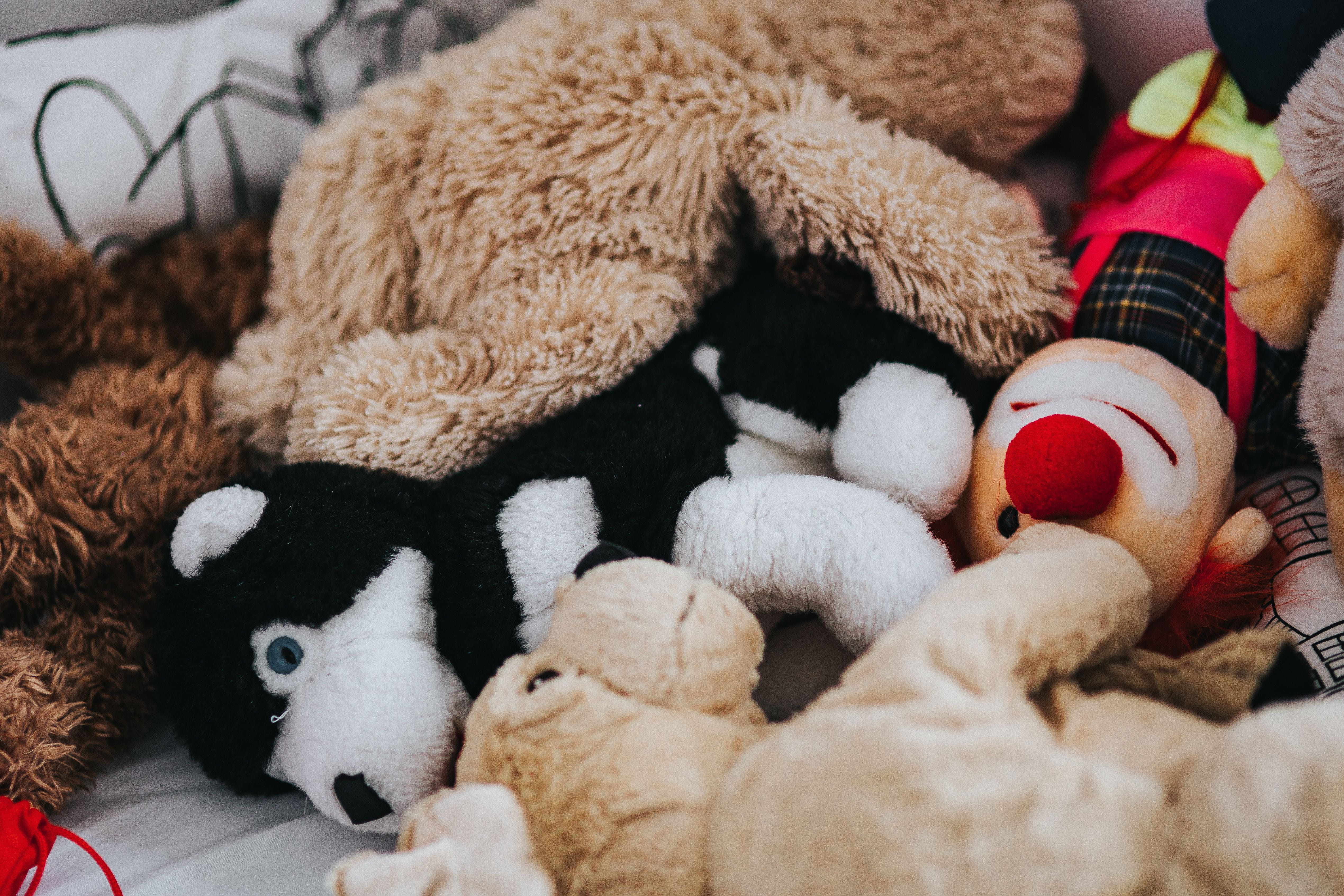 indoors, Miscellaneous, home interior, furniture, close-up, cute, high angle view, toys, children, softness, figure, stuffed Toy, mammal, playing, doll, HD Wallpaper