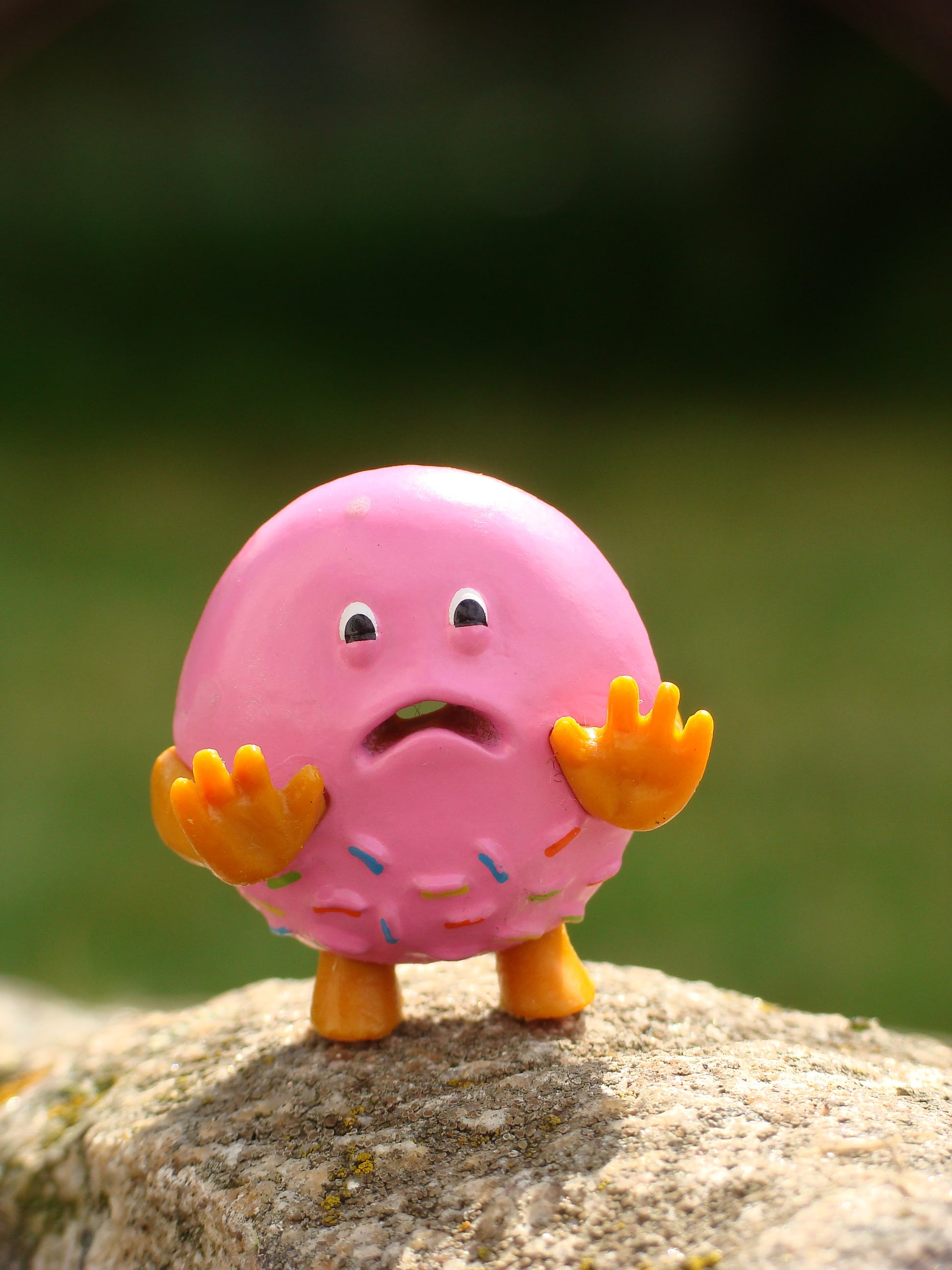 creativity, solid, nature, piggy bank, fat thursday, finance, rock, doughnut, fun, clip, pink, toy, bud, no people, representation, focus on foreground, Phone HD Wallpaper
