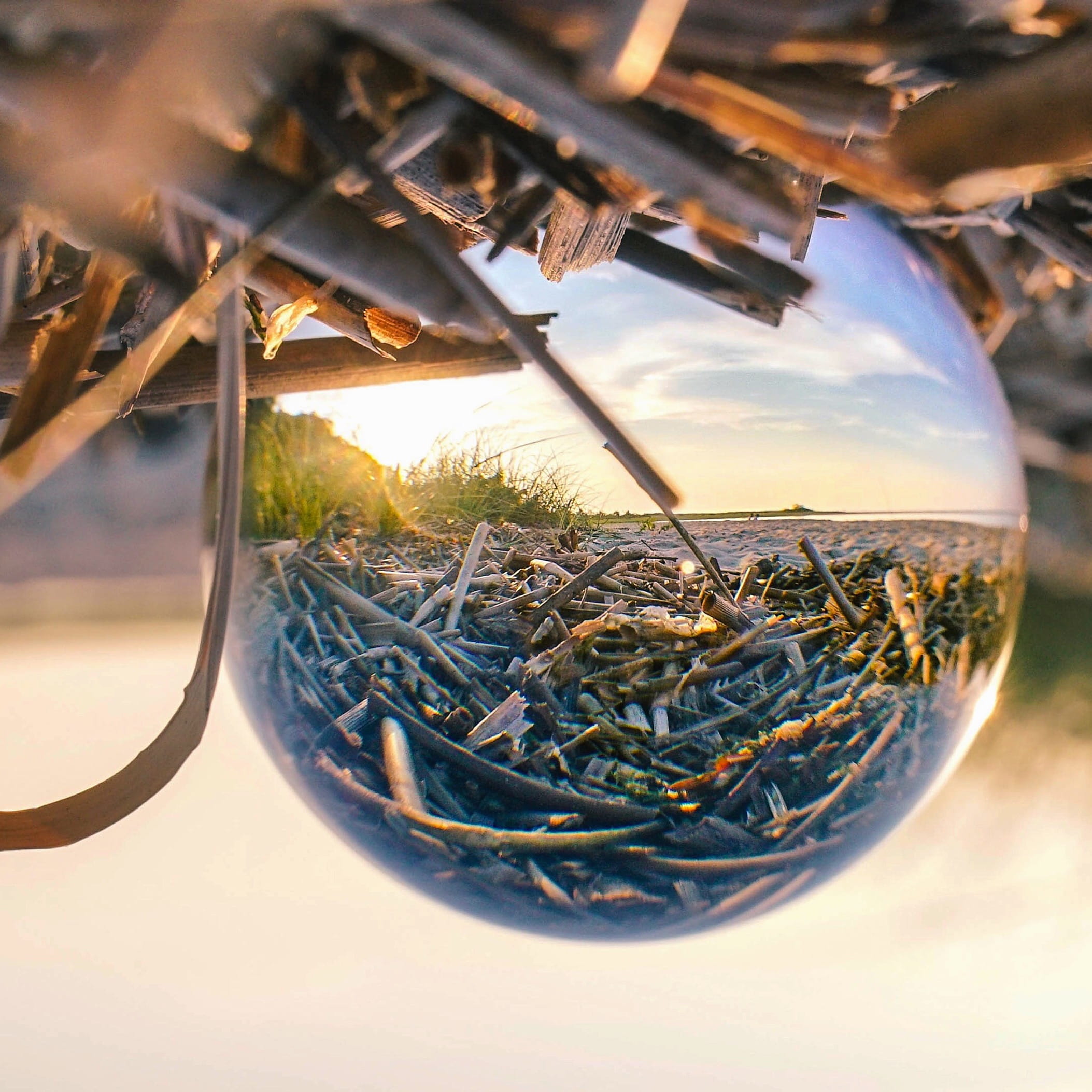 kings park, crystalball, water, transparent, glass, refreshment, food and drink, kings park bluff, 1080P, plant, day, table, united states, no people, Phone HD Wallpaper