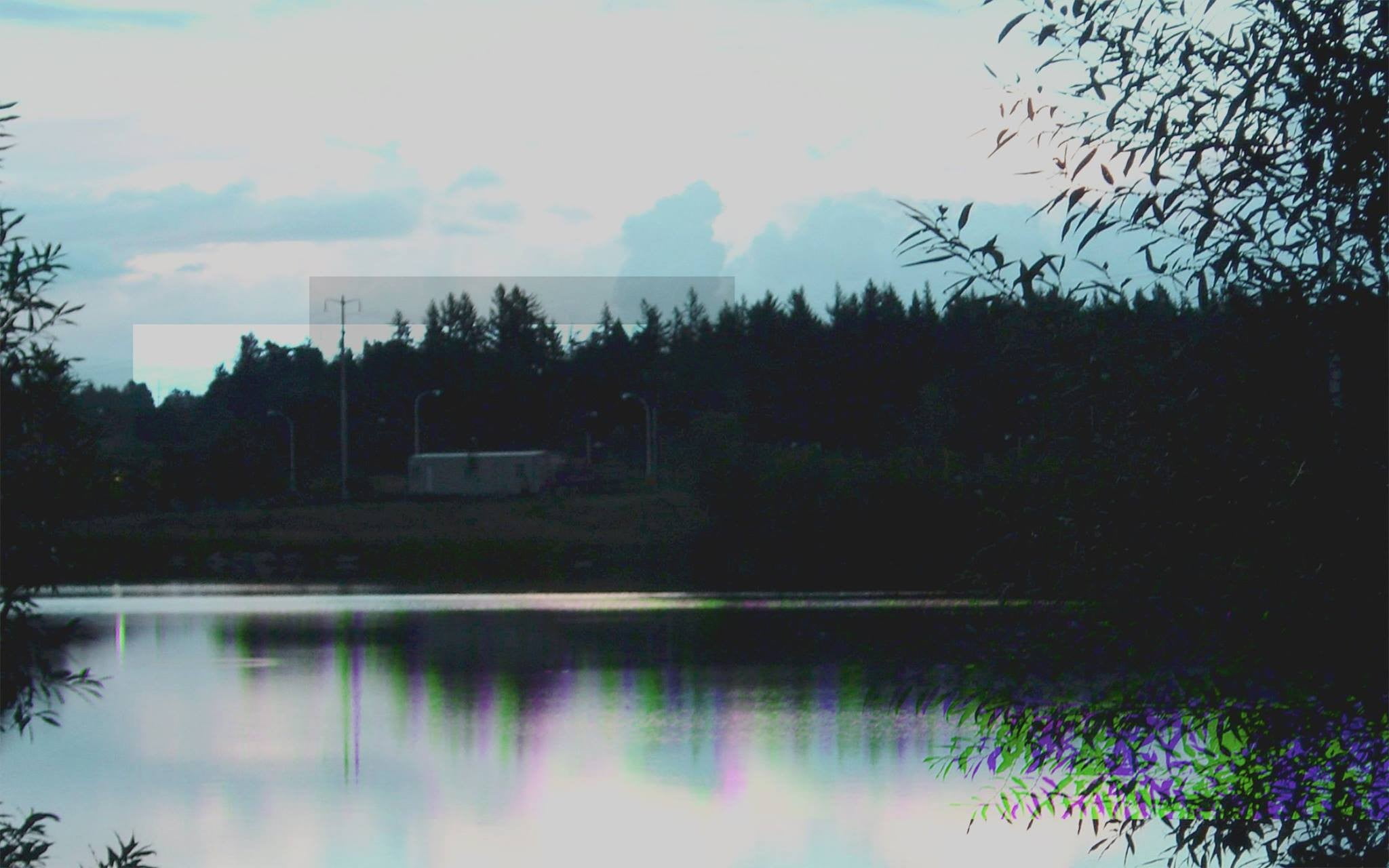 glitch art, photo, tranquility, tranquil scene, waterfront, water, nature, scenics - nature, architecture, plant, tree, built structure, body, 1080P, growth, HD Wallpaper