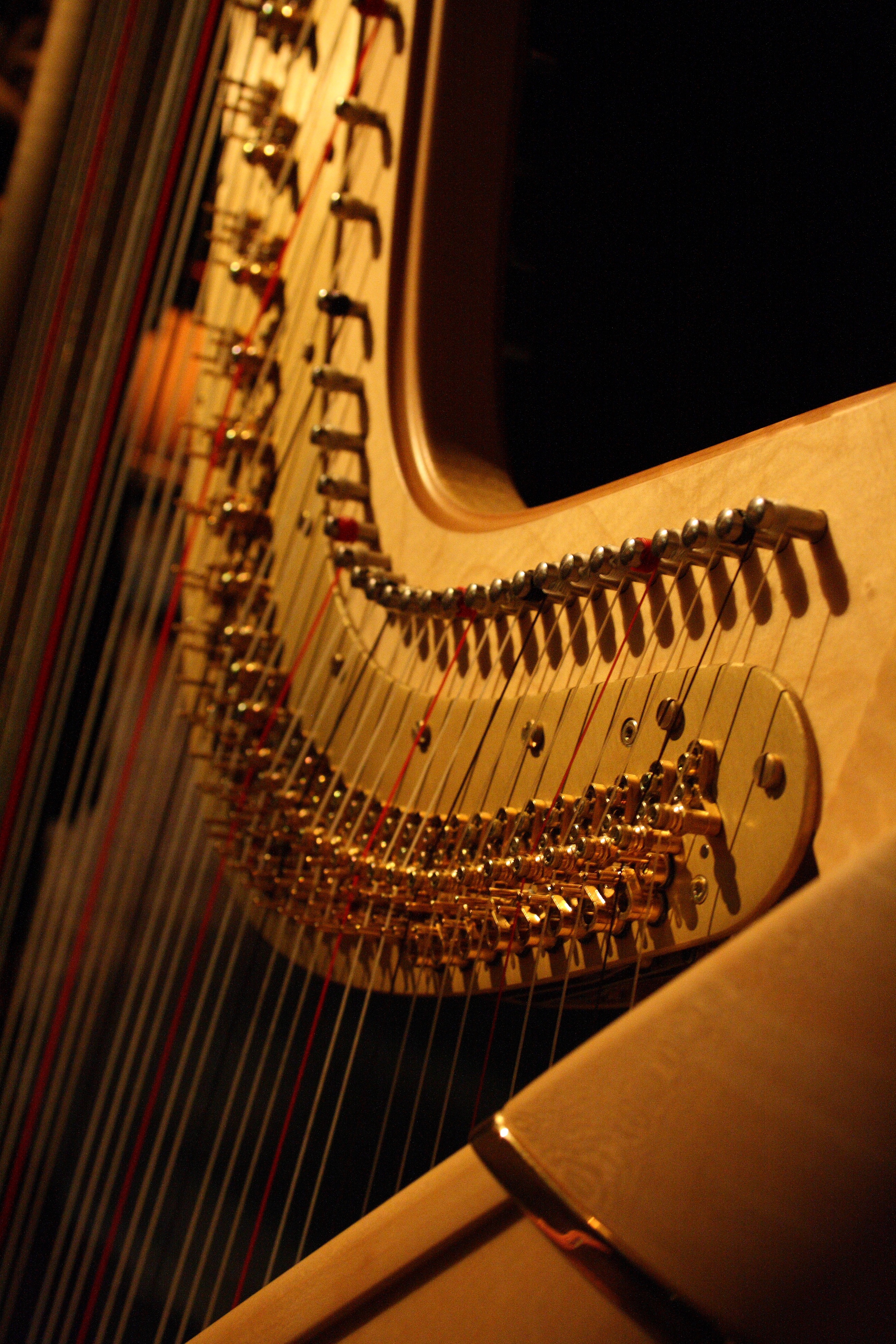 grand piano, music, paper, still life, arts culture and entertainment, keyboard, selective focus, wood - material, piano, musical equipment, indoors, string, Phone HD Wallpaper