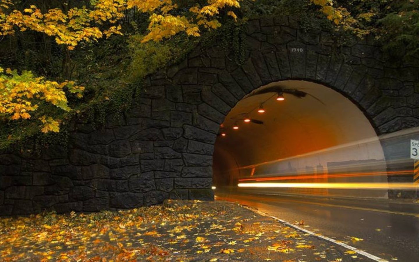 plant, arch bridge, the way forward, End of Tunnel, motion, architecture, transportation, illuminated, wall - building feature, direction, 720P, nature, HD Wallpaper