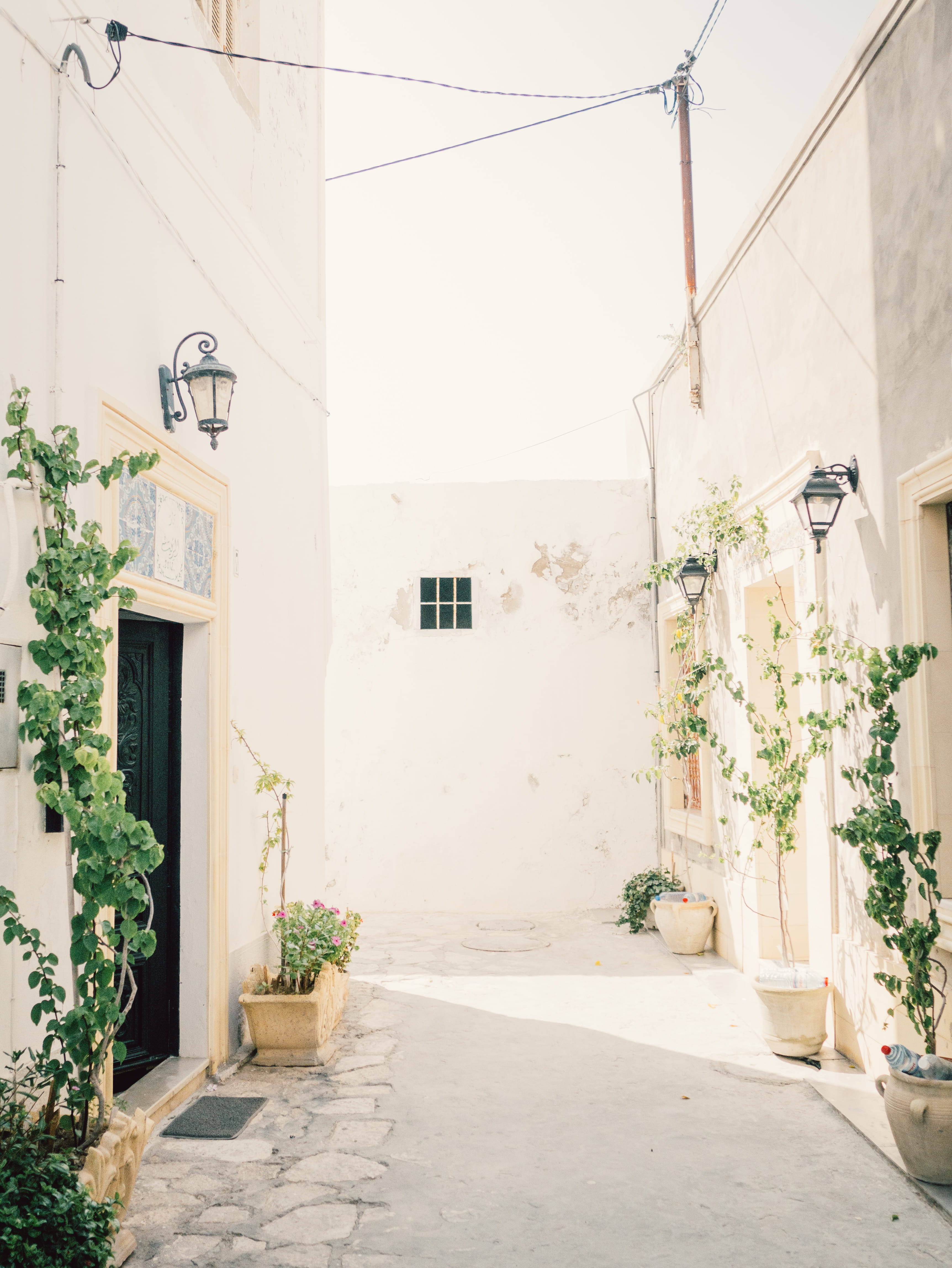 no people, pot, wall, city, traditional, pathway, door, pavement, wall - building feature, summer, day, daylight, beside, sun, house, entrance, leafed, Phone HD Wallpaper