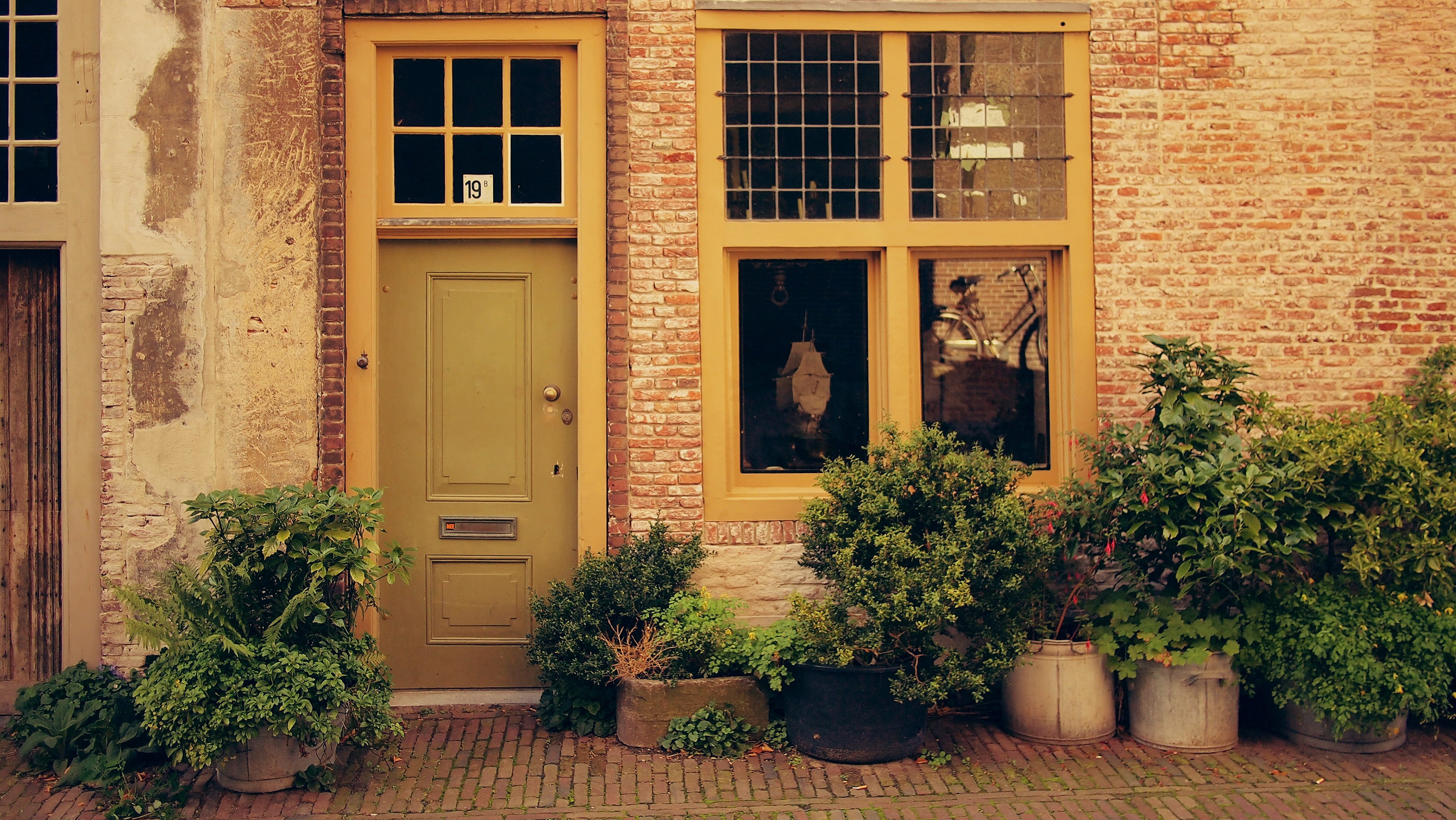 old city, city, window, day, flower pot, house, old, wall, closed, history, tree, wall - building feature, plants, architecture, no people, nature, 2K, HD Wallpaper