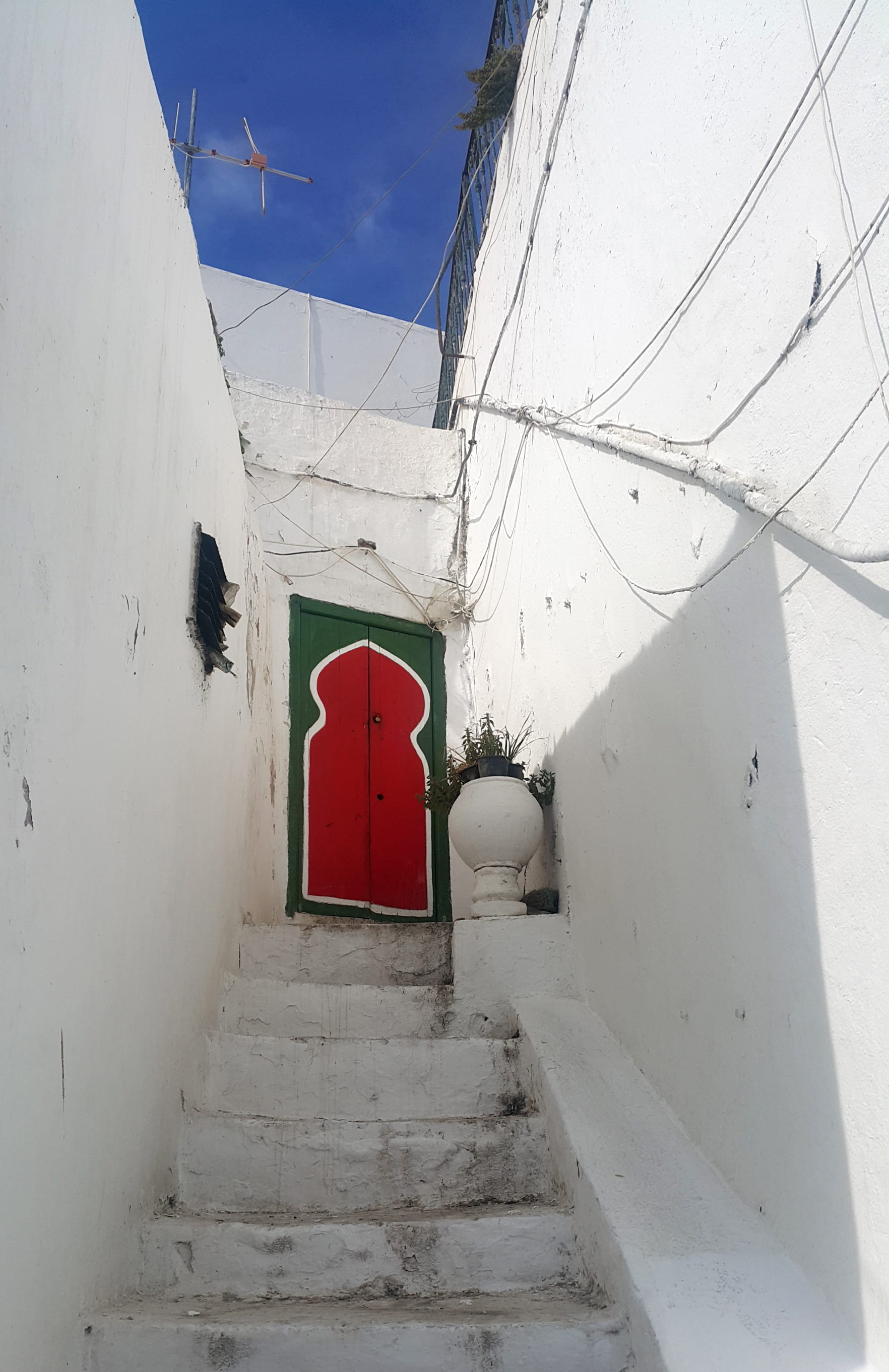 whitewashed, gate, sky, sunlight, outdoors, built structure, potted plant, stair, white, pottery, white color, tunis, day, direction, hole, connection, Phone HD Wallpaper