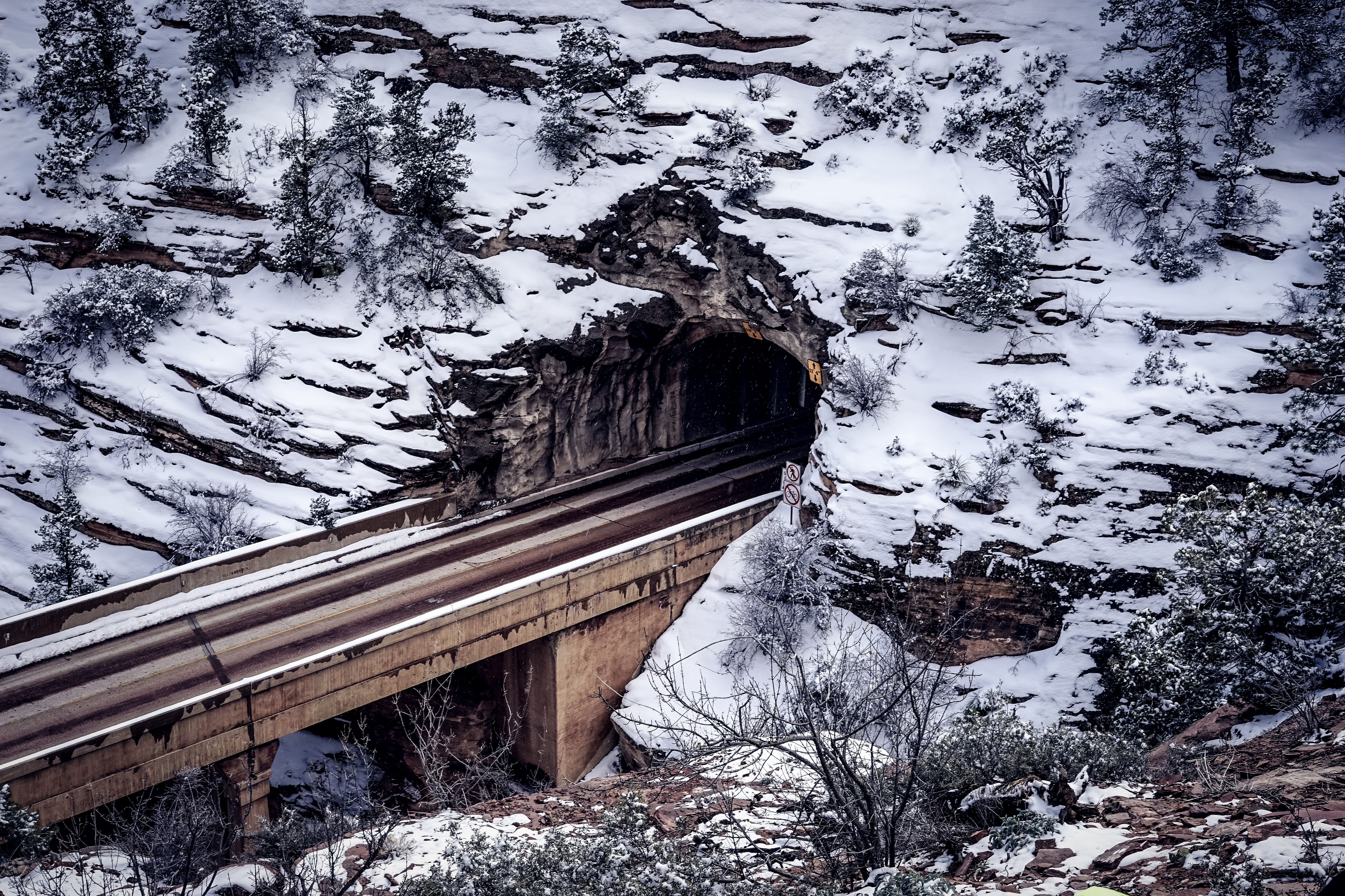 bridge, winter, building exterior, architecture, frozen, tree, outdoors, snow, no people, covering, 5K, day, tunnel, bridge - man made structure, nature, HD Wallpaper