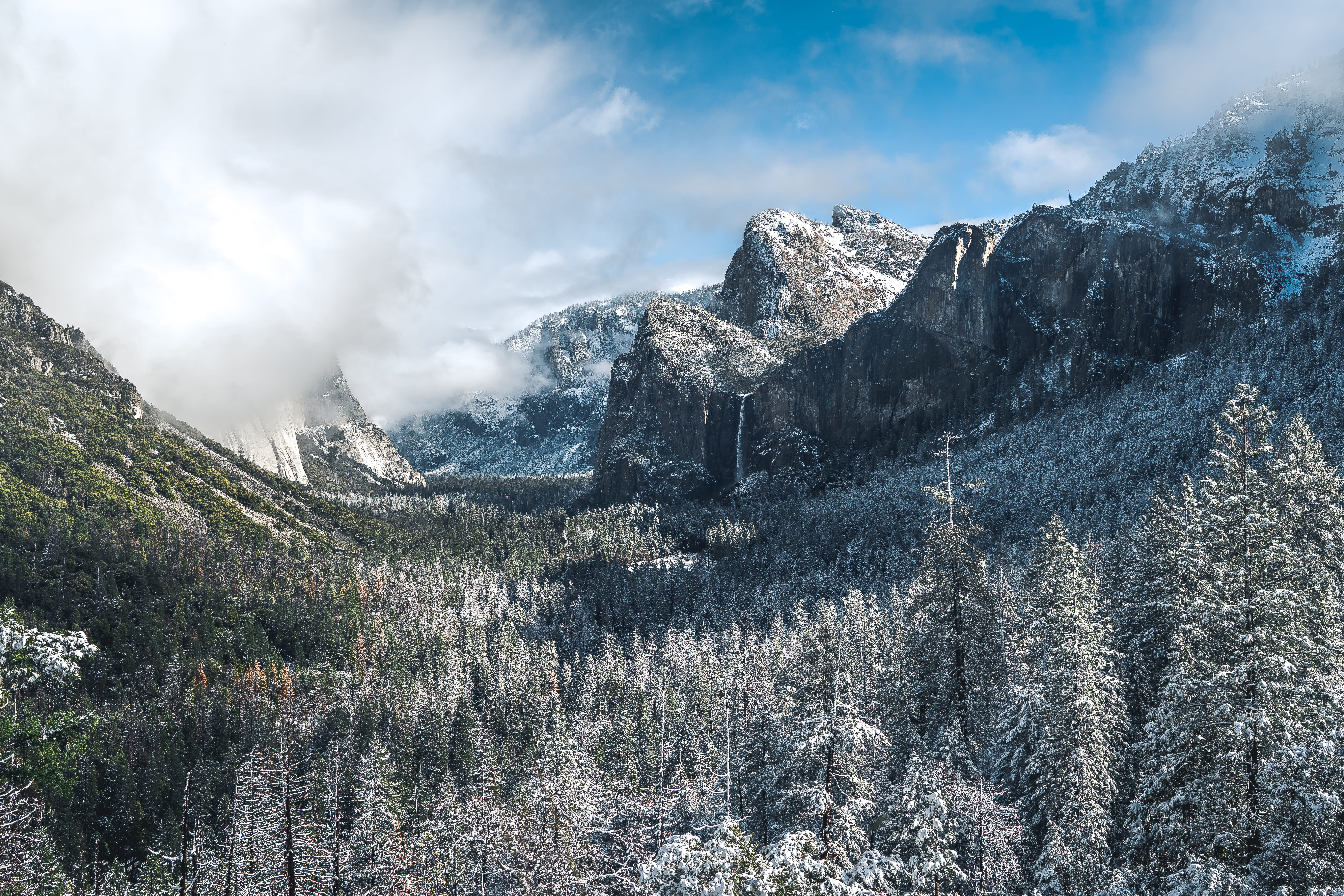 woods, fir, tranquil scene, beauty in nature, cloudy, plant, peak, outdoors, abies, no people, tunnel view, california, mountains, mountain, non-urban scene, HD Wallpaper