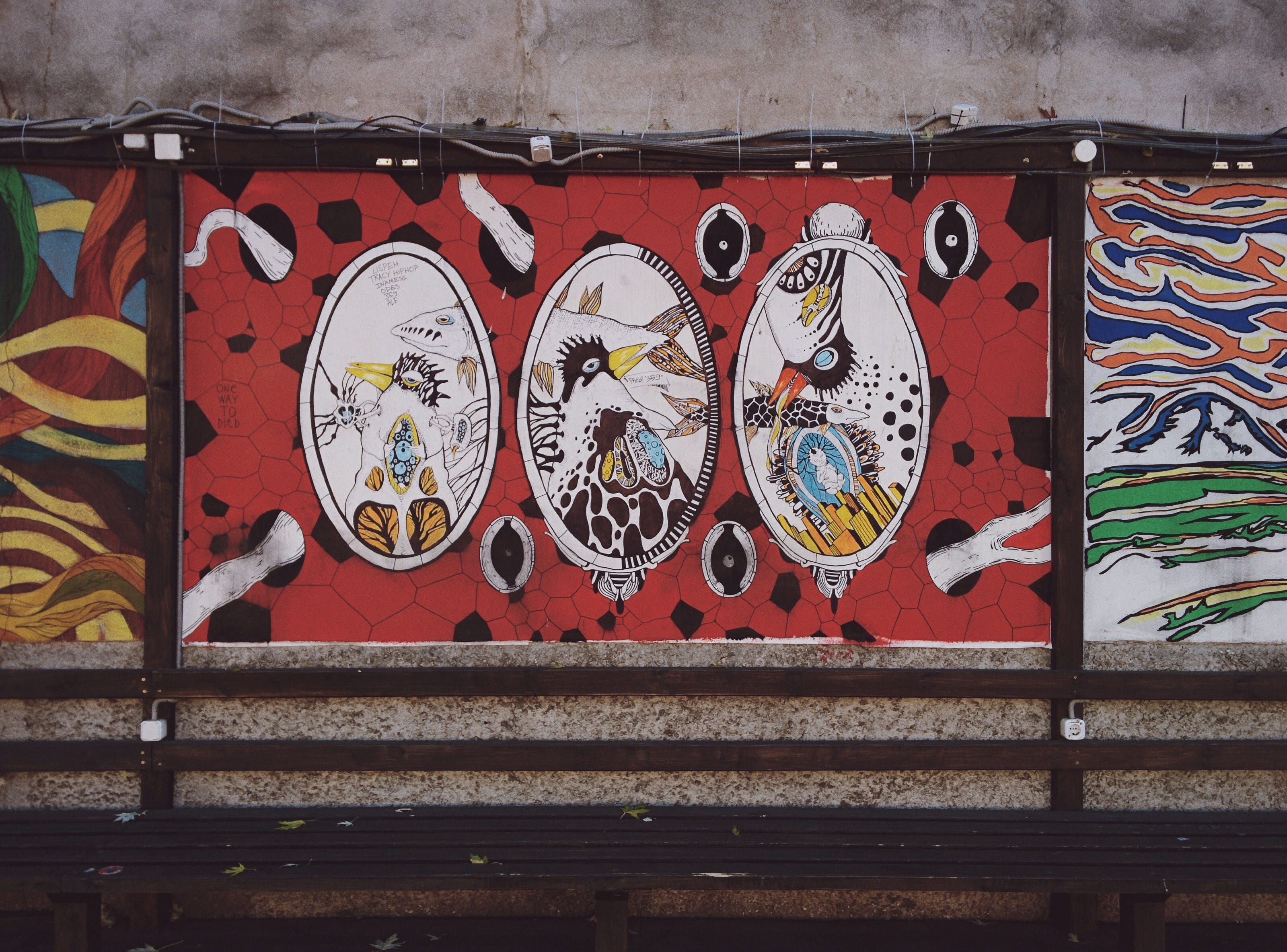 mural, wall - building feature, graffiti, human representation, architecture, floral pattern, design, art and craft, day, belarus, building exterior, multi colored, HD Wallpaper